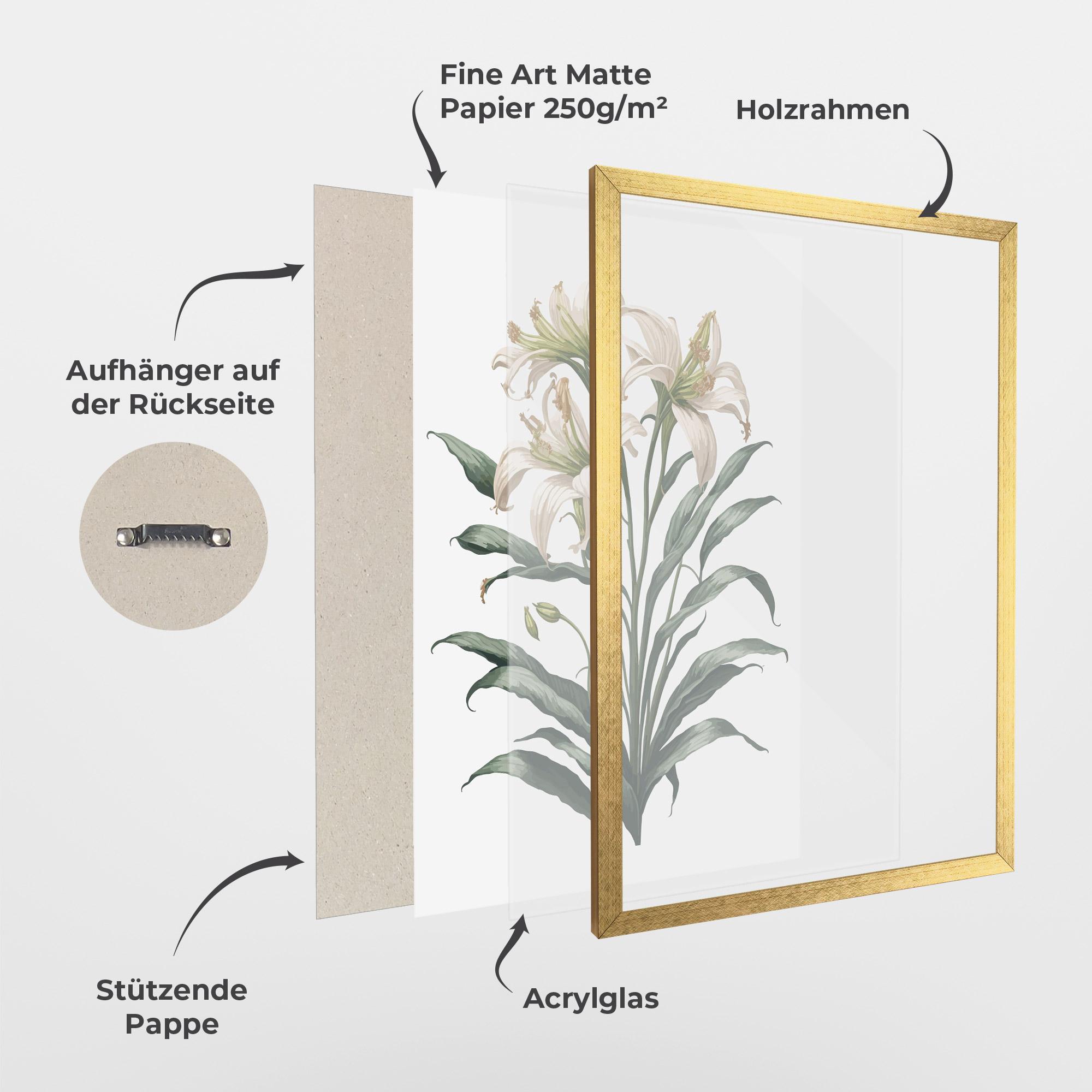 Gerahmte Poster Columbia Lily mockup 1