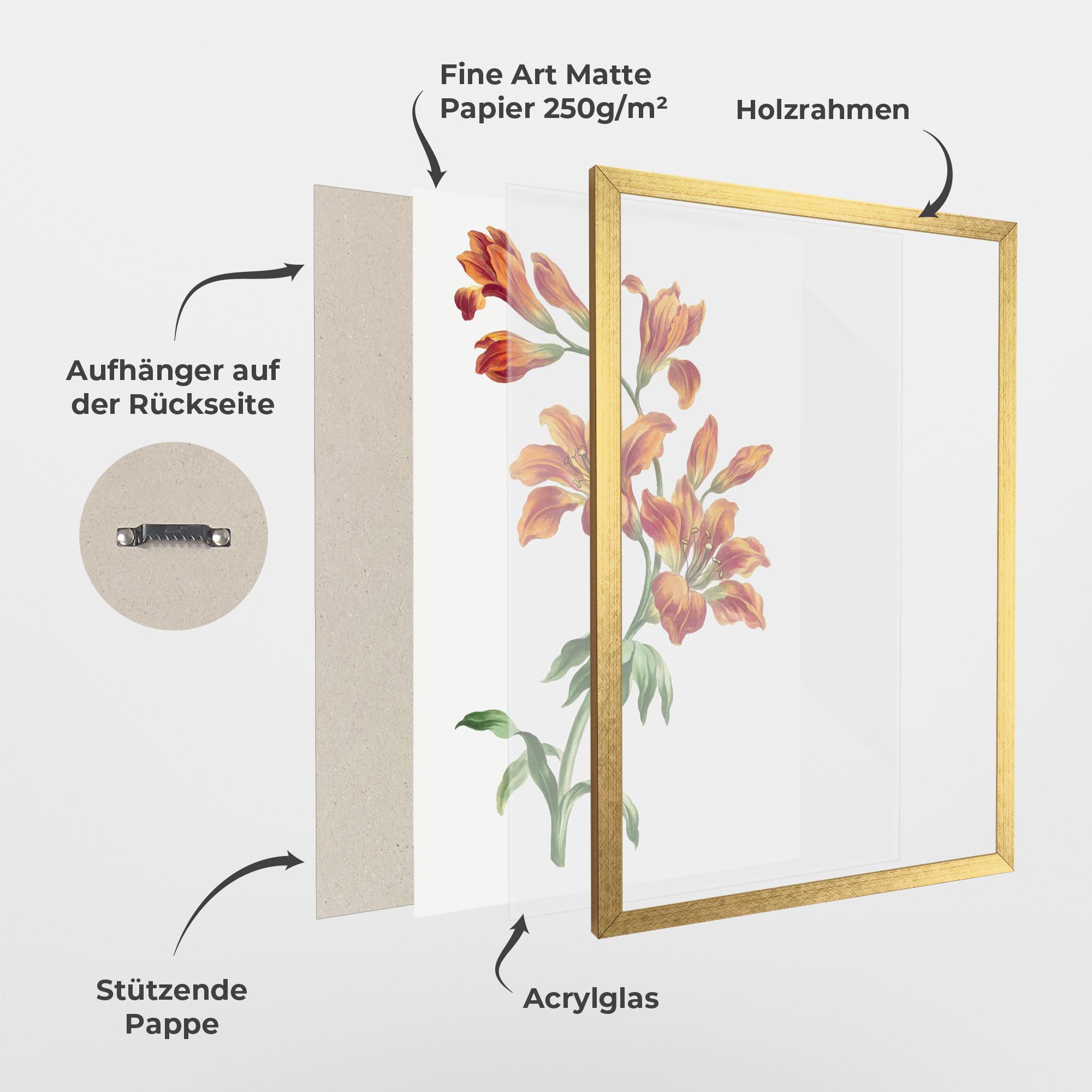 Gerahmte Poster Orange Painted Lily mockup 1