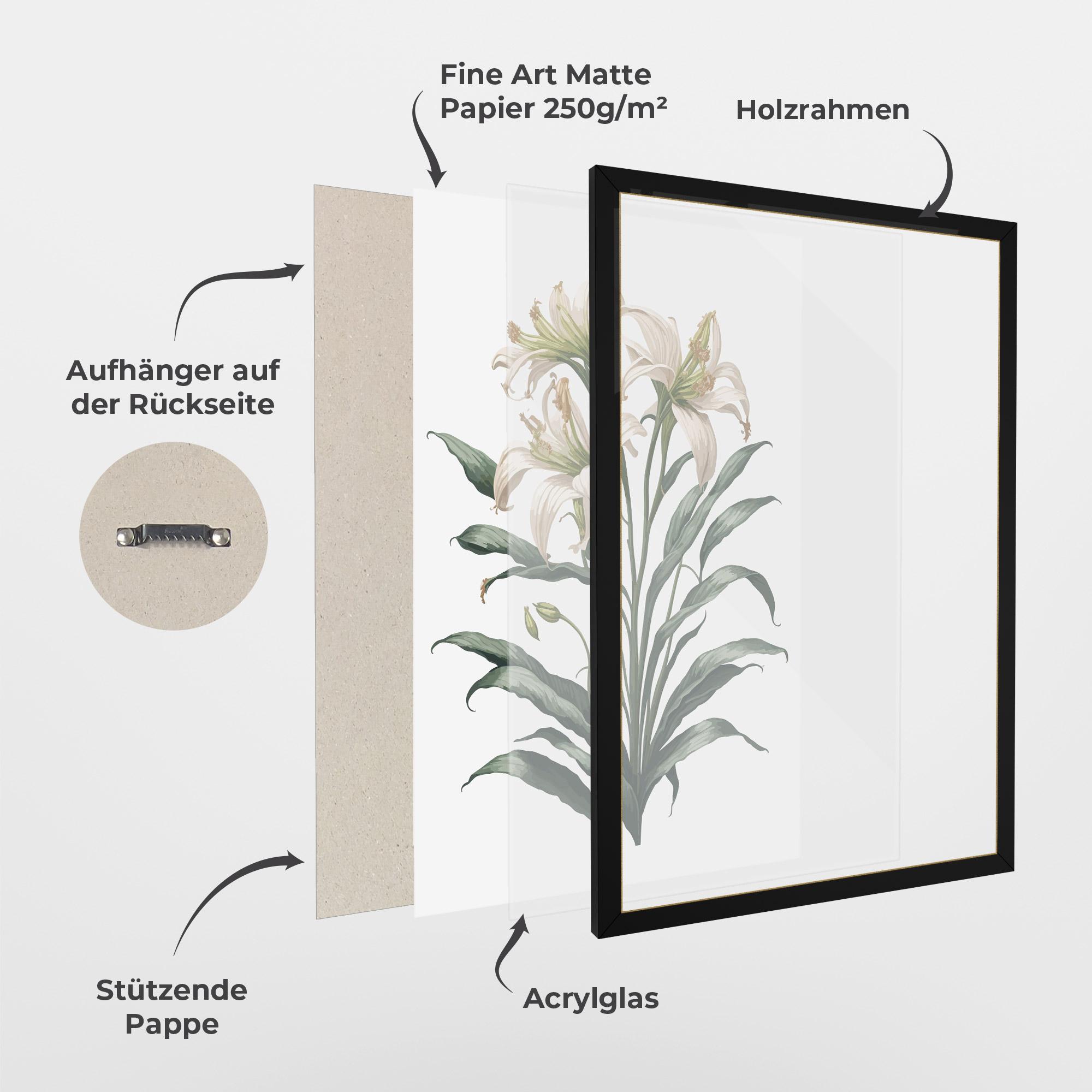 Gerahmte Poster Columbia Lily mockup 1