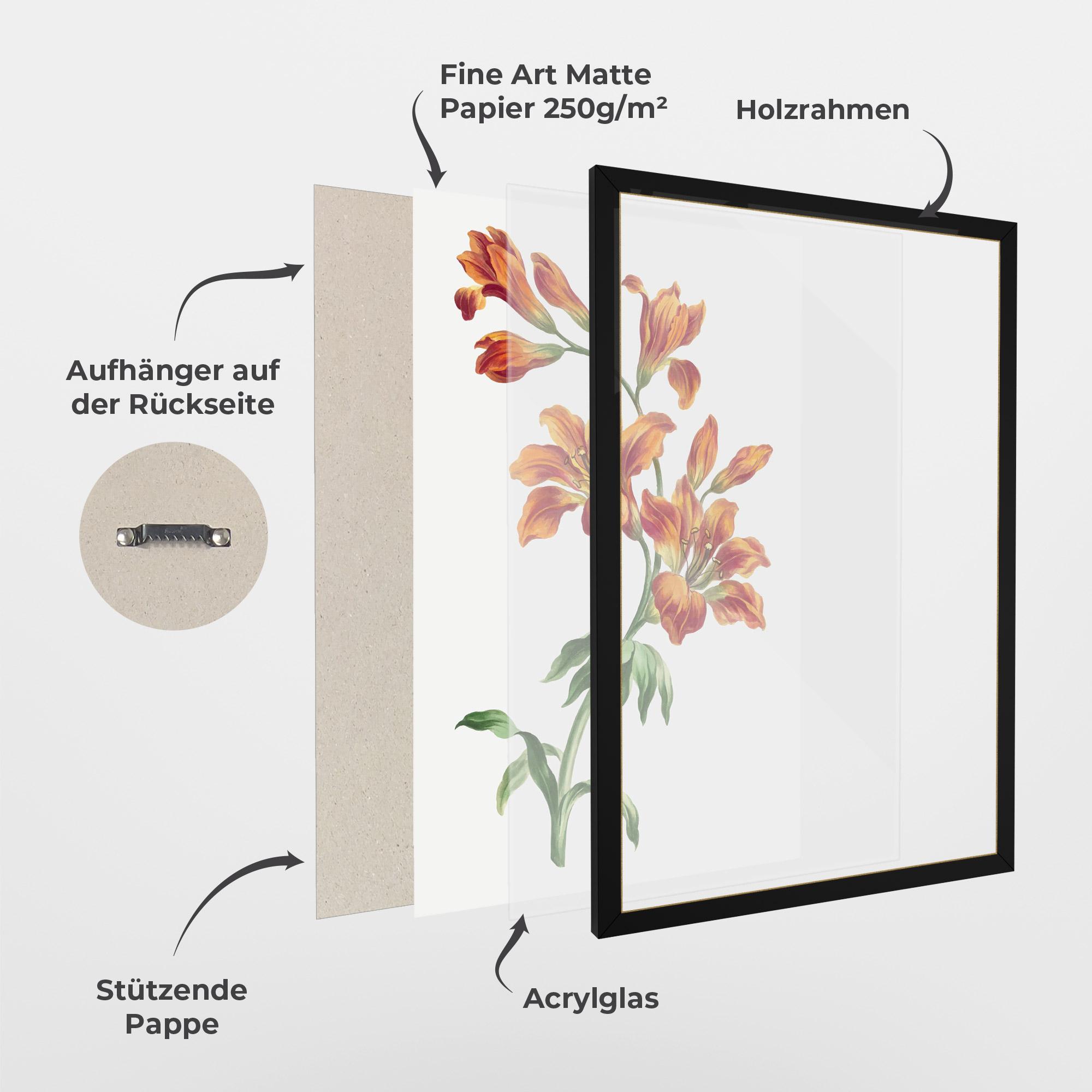 Gerahmte Poster Orange Painted Lily mockup 1