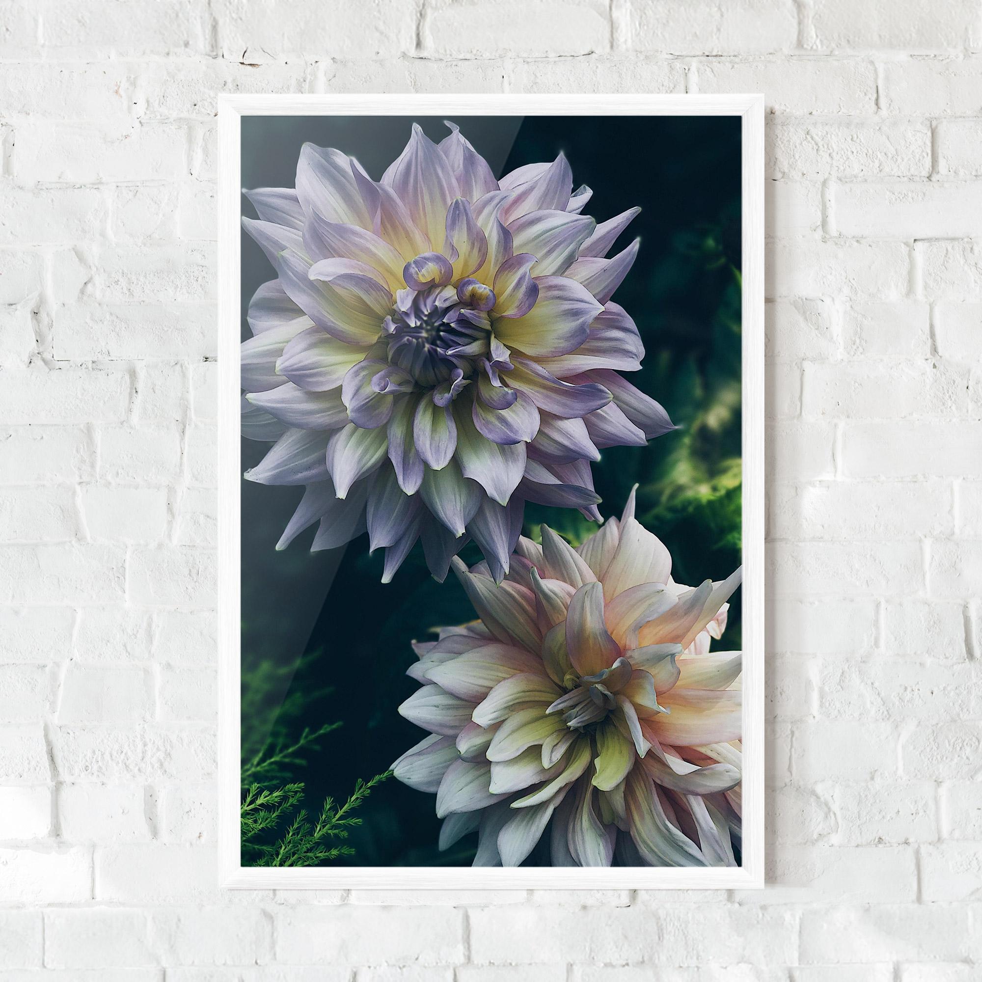 Gerahmte Poster Dahlia Flowers mockup 0