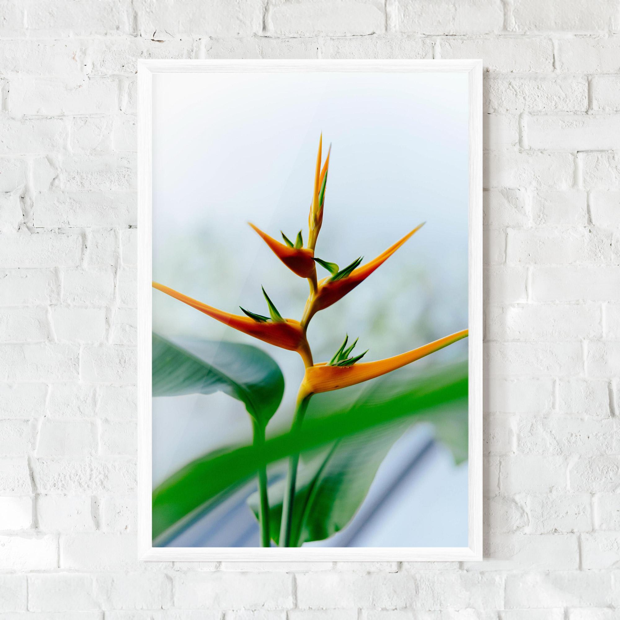 Gerahmte Poster Exotic Orange Green mockup 0