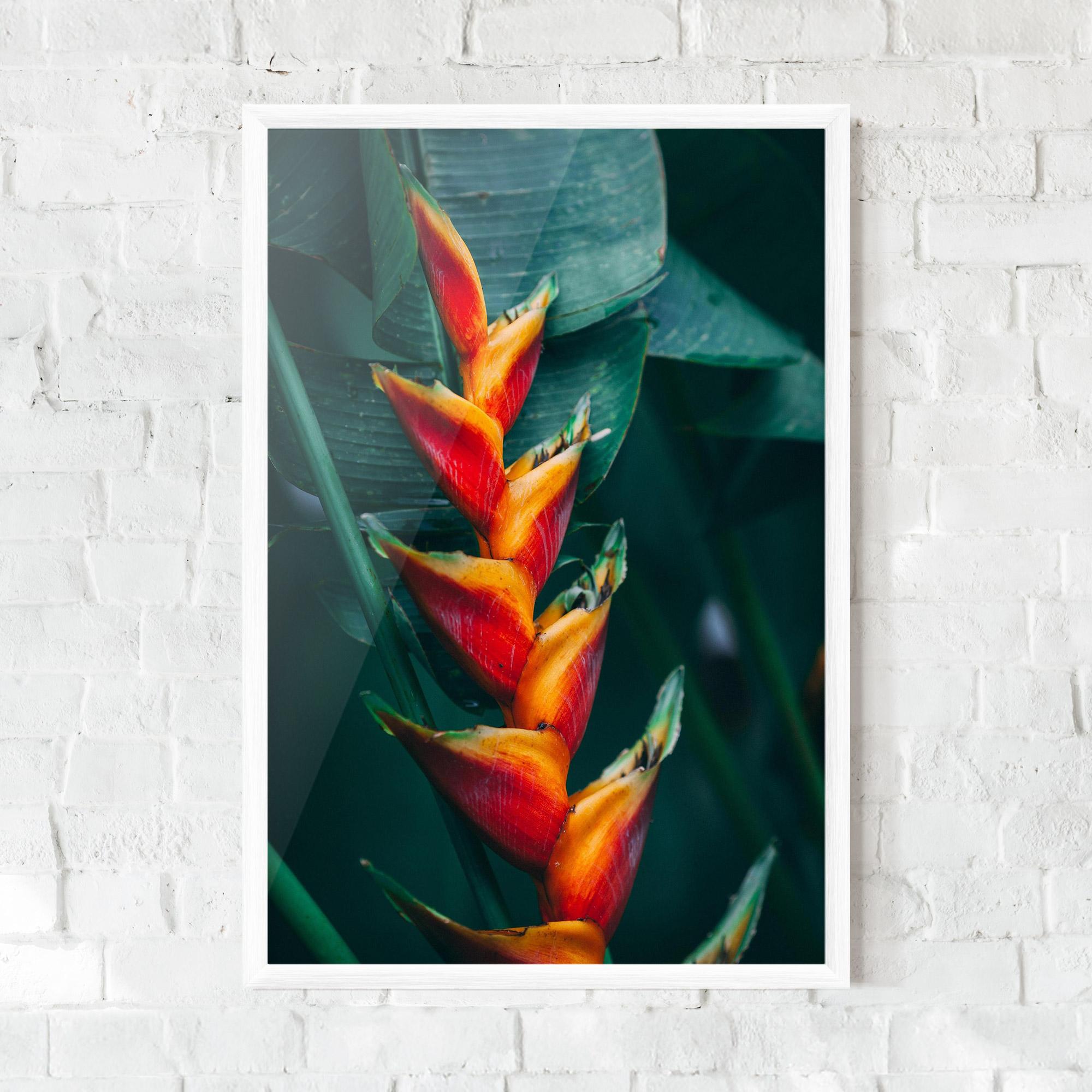 Gerahmte Poster Red Orange Exotic mockup 0