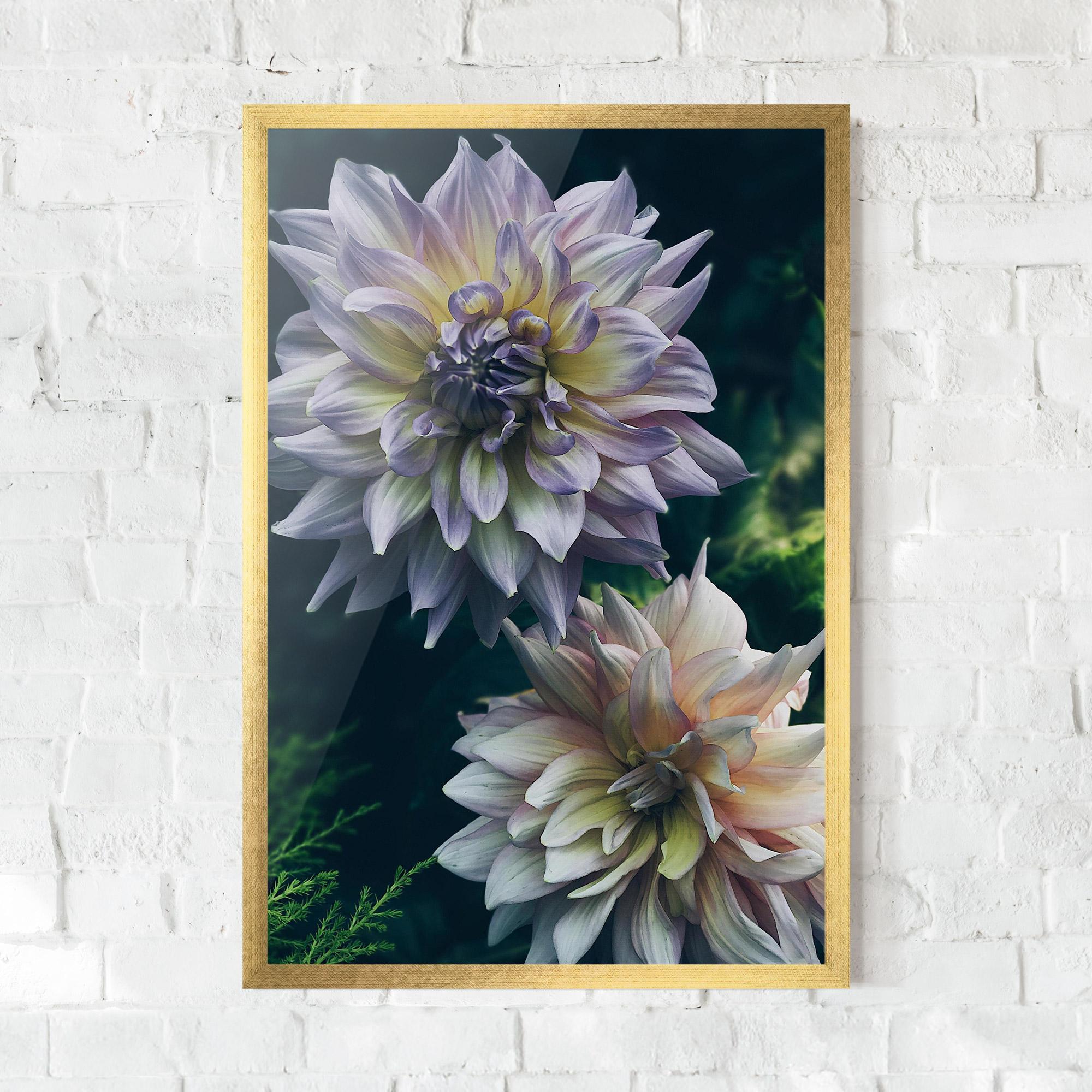 Gerahmte Poster Dahlia Flowers mockup 0
