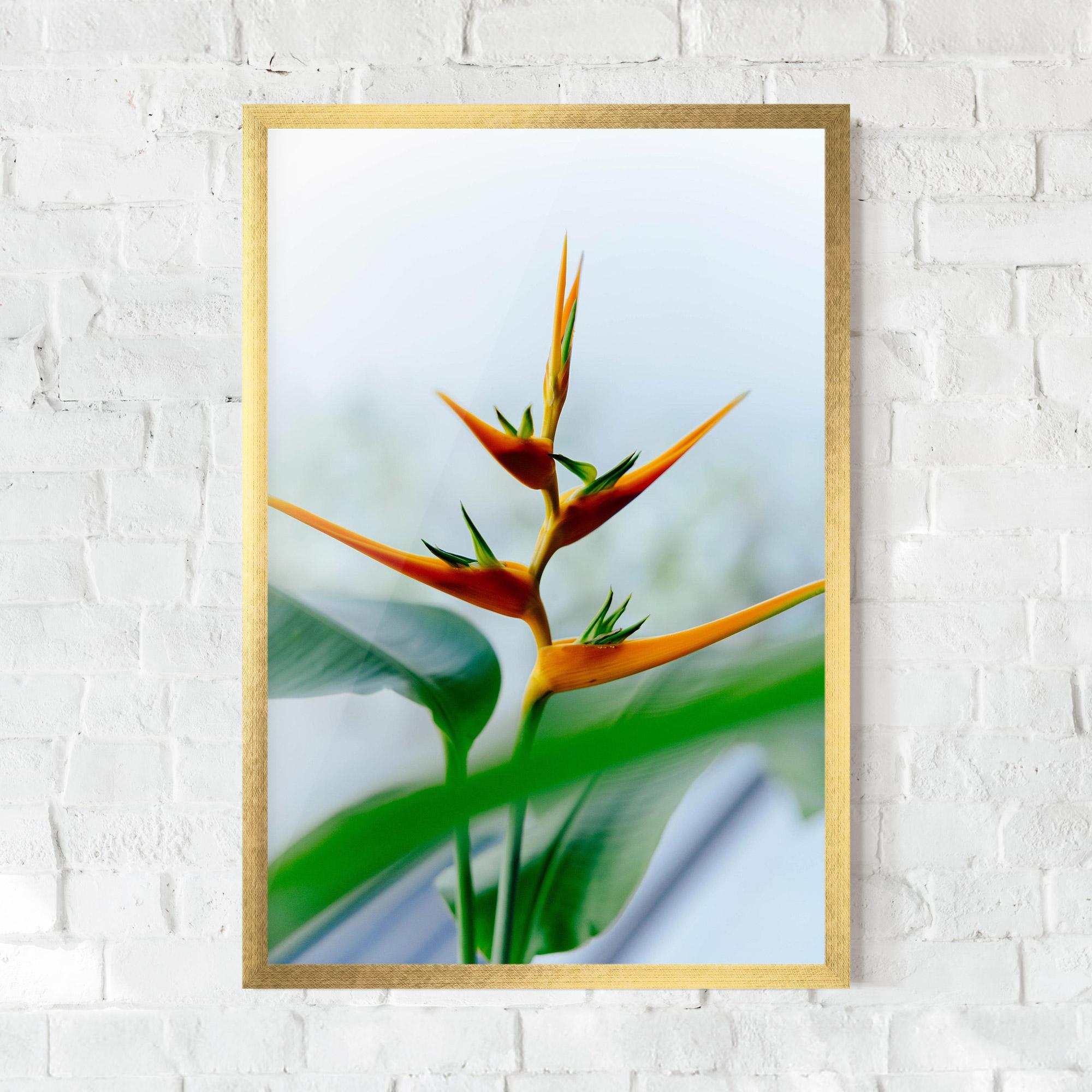 Gerahmte Poster Exotic Orange Green mockup 0