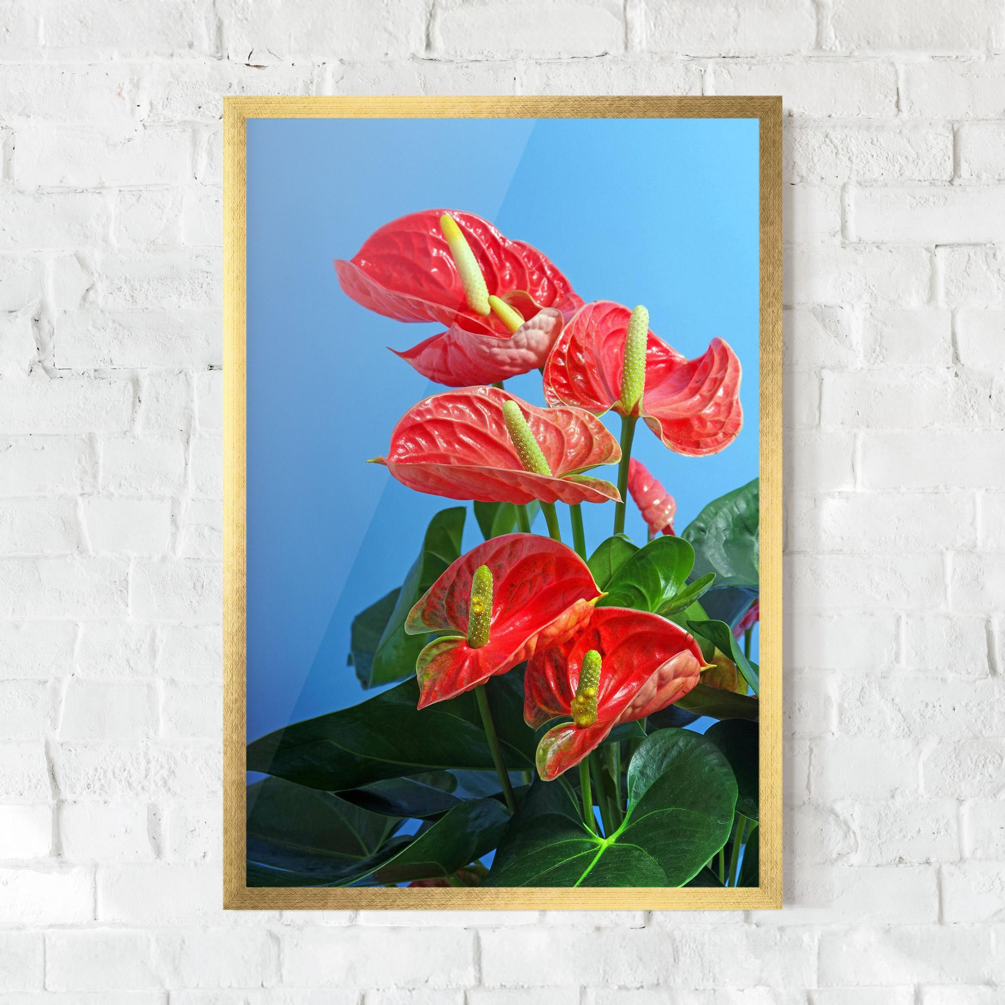 Gerahmte Poster Red Green Exotic mockup 0