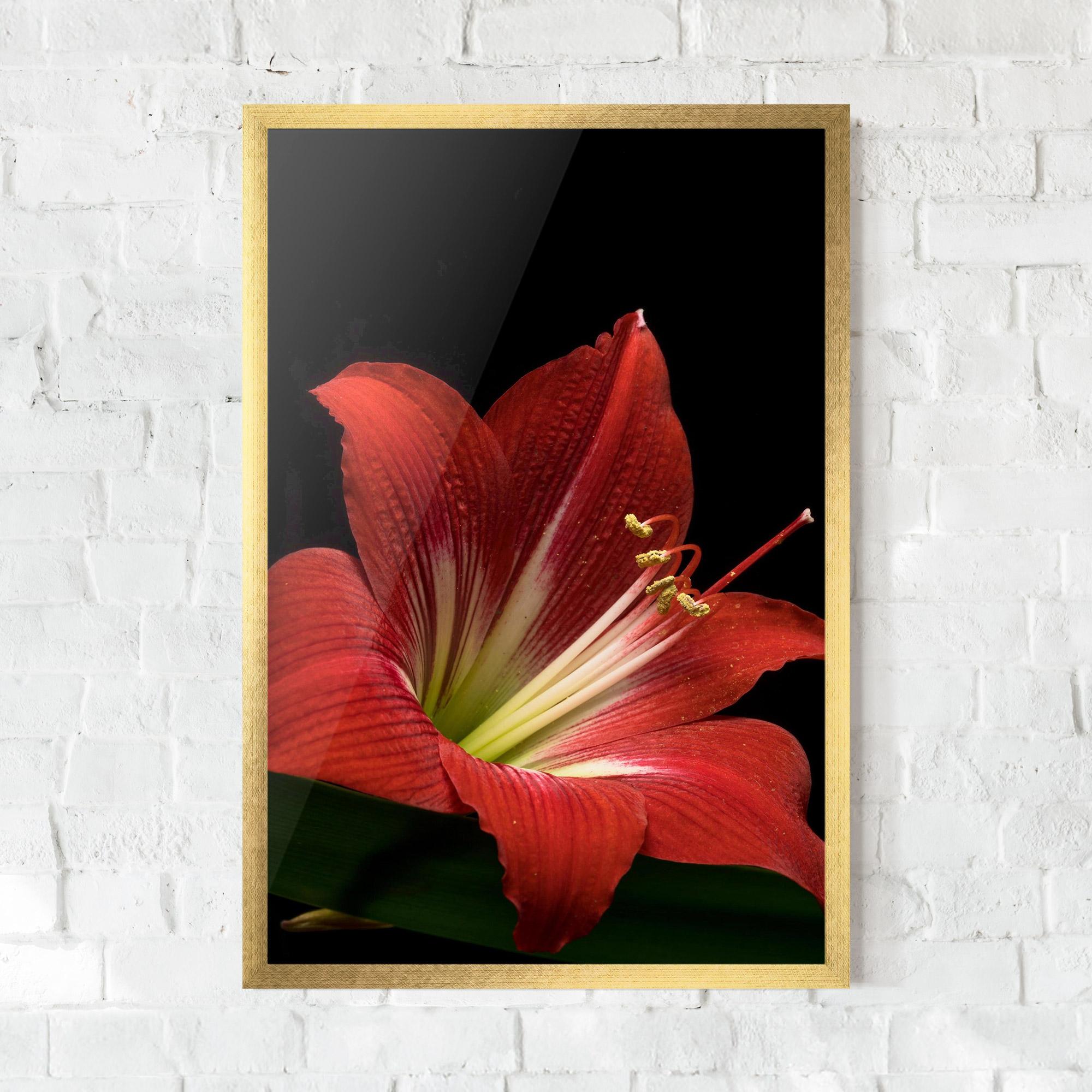 Gerahmte Poster Red Yellow Exotic mockup 0