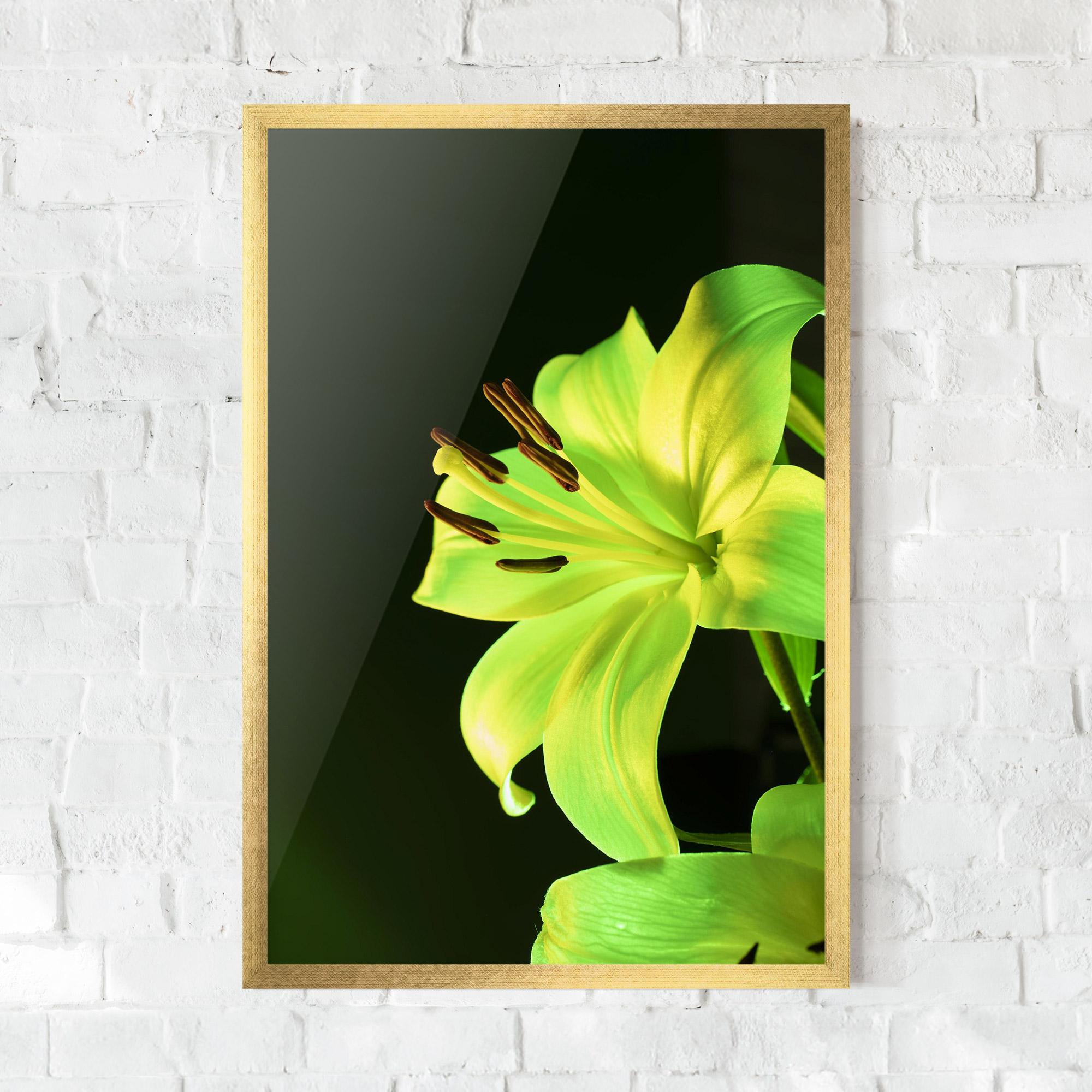 Gerahmte Poster Yellow Green Exotic mockup 0