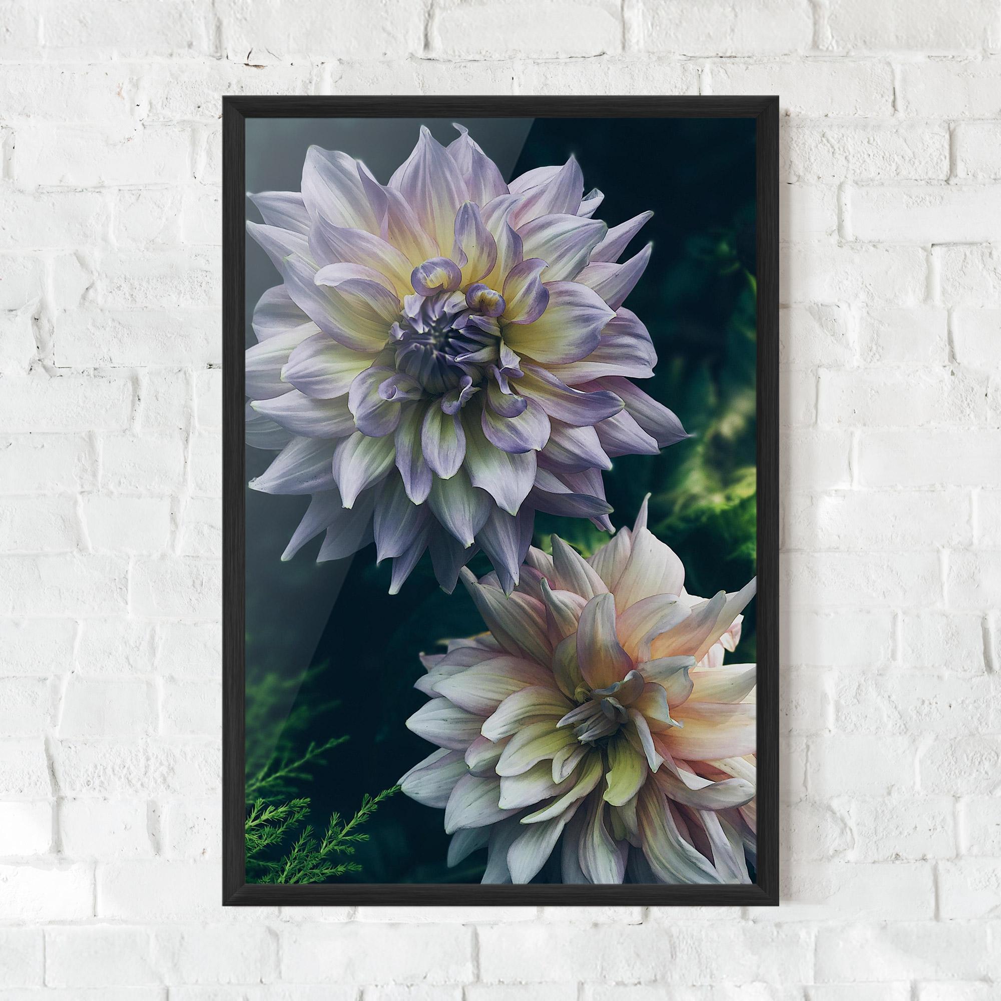 Gerahmte Poster Dahlia Flowers mockup 0