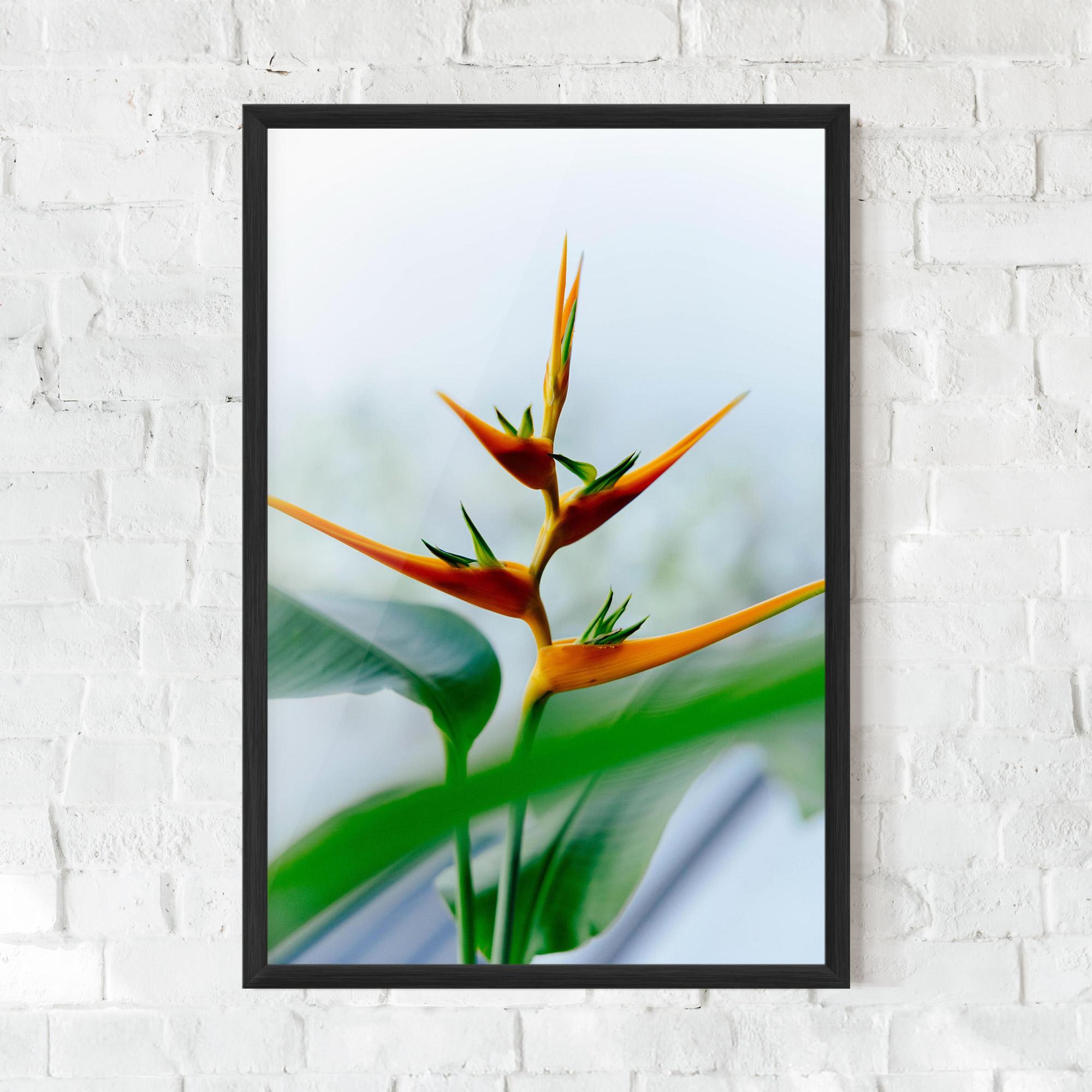 Gerahmte Poster Exotic Orange Green mockup 0