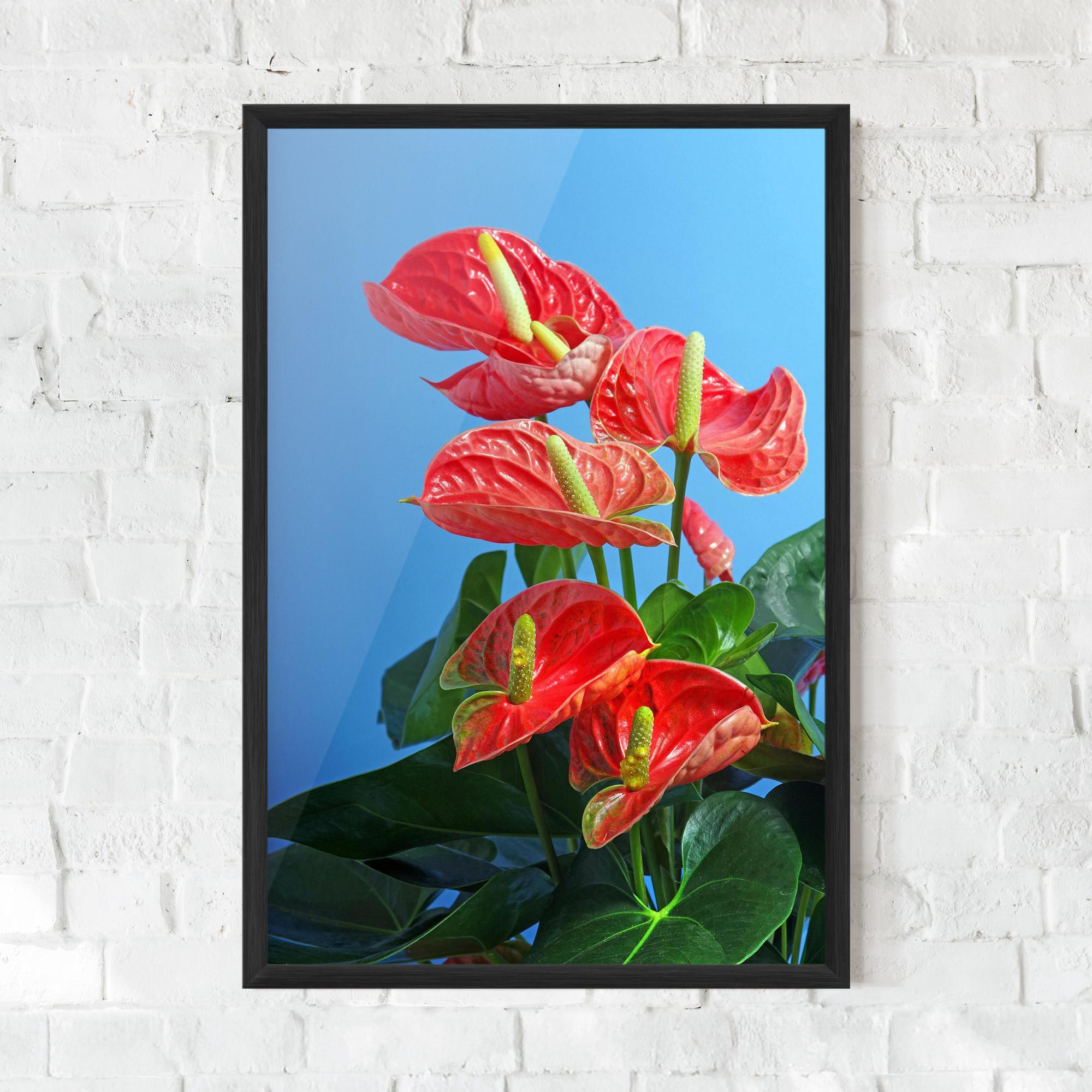 Gerahmte Poster Red Green Exotic mockup 0