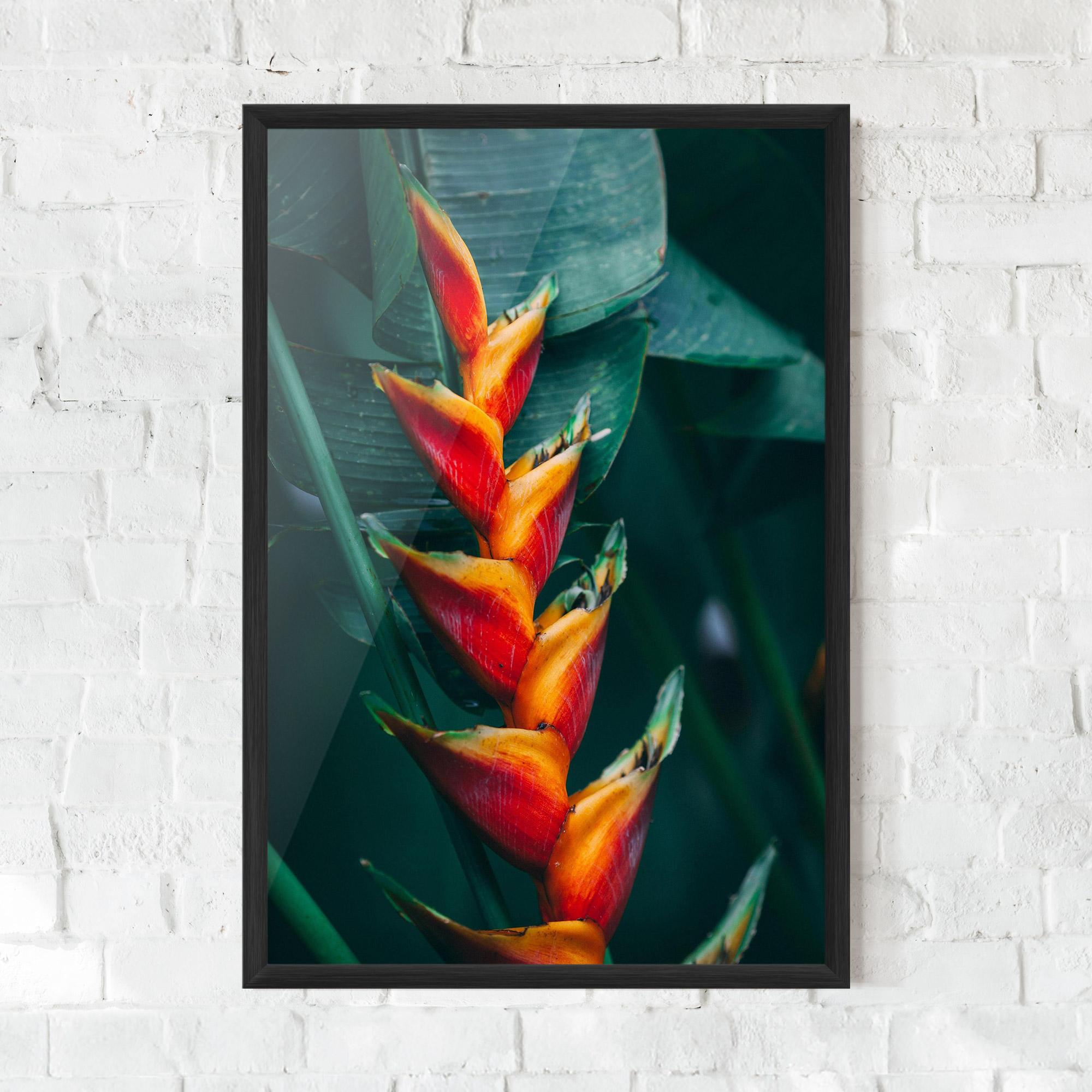 Gerahmte Poster Red Orange Exotic mockup 0