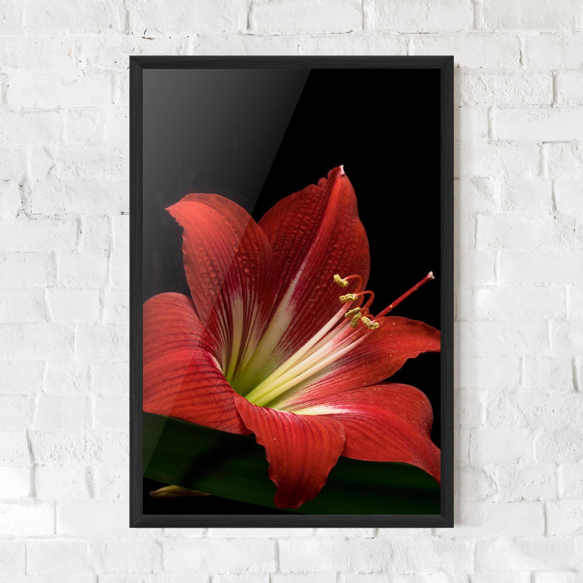 Gerahmte Poster Red Yellow Exotic mockup 0