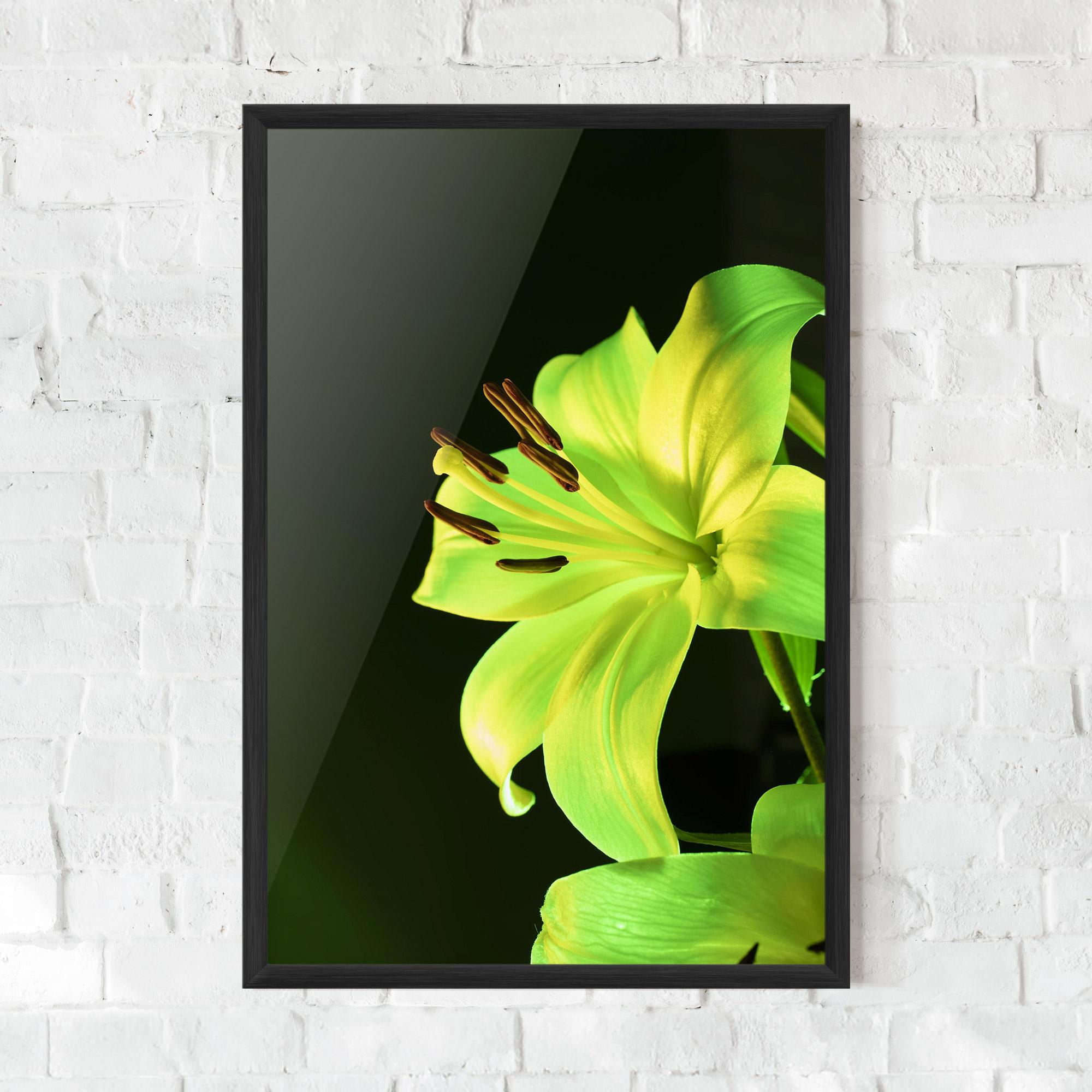 Gerahmte Poster Yellow Green Exotic mockup 0