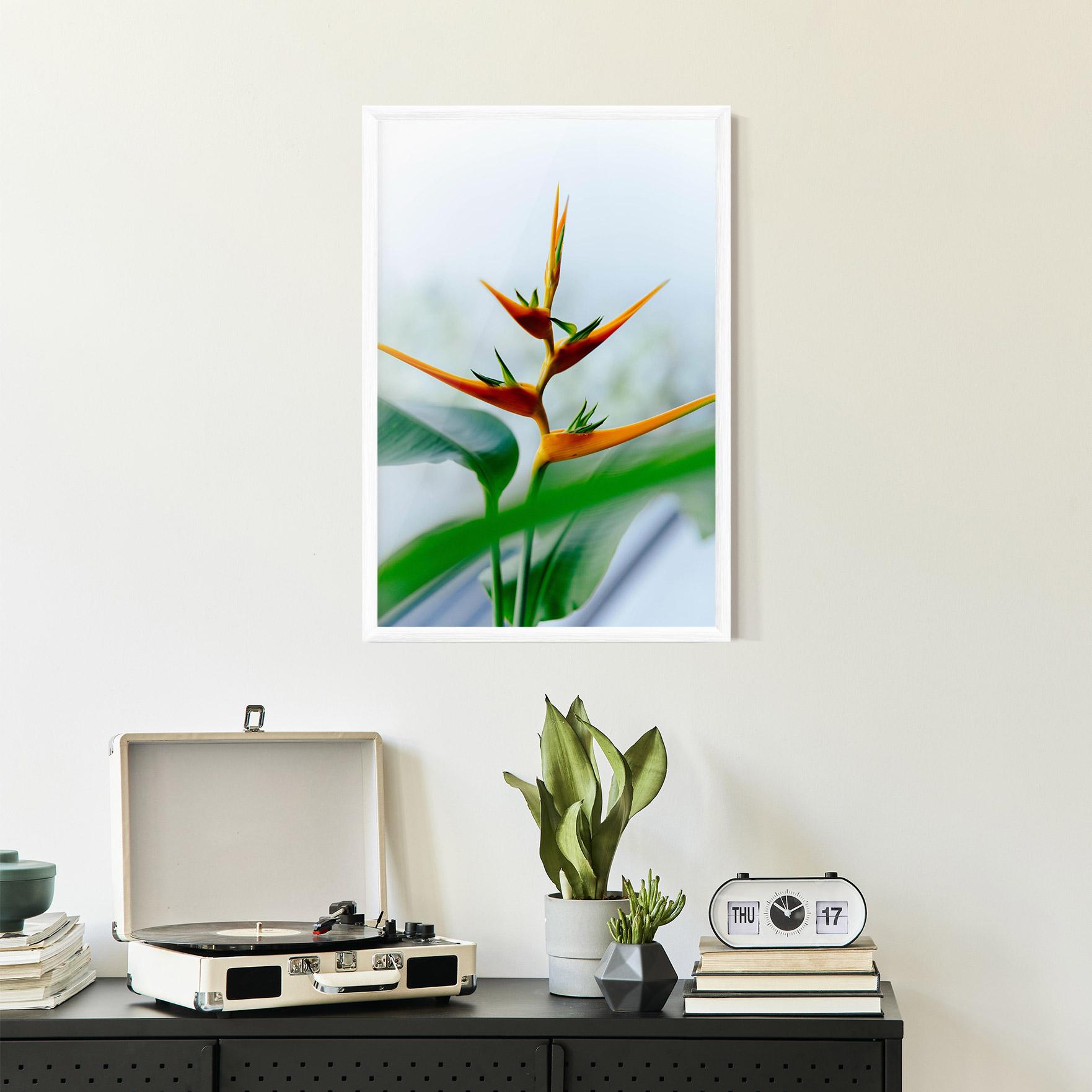 Gerahmte Poster Exotic Orange Green mockup 2