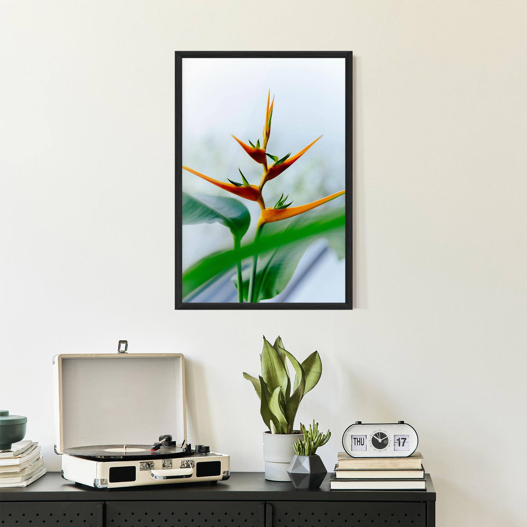 Gerahmte Poster Exotic Orange Green mockup 2