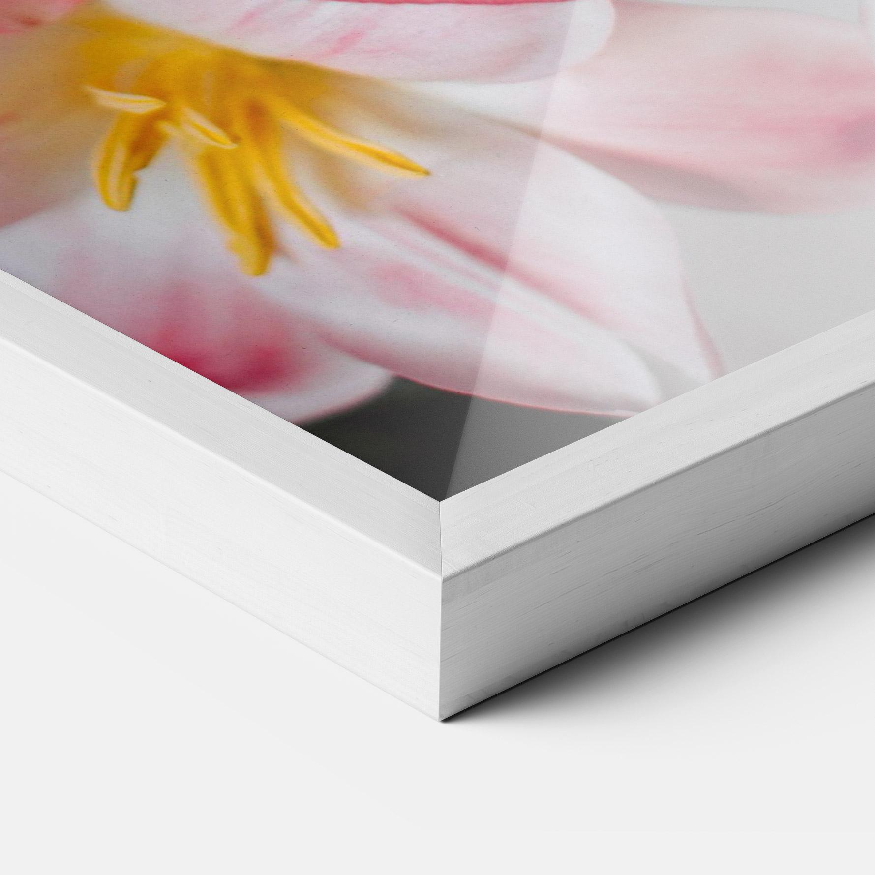 Gerahmte Poster Beautiful Exotic Flower mockup 3