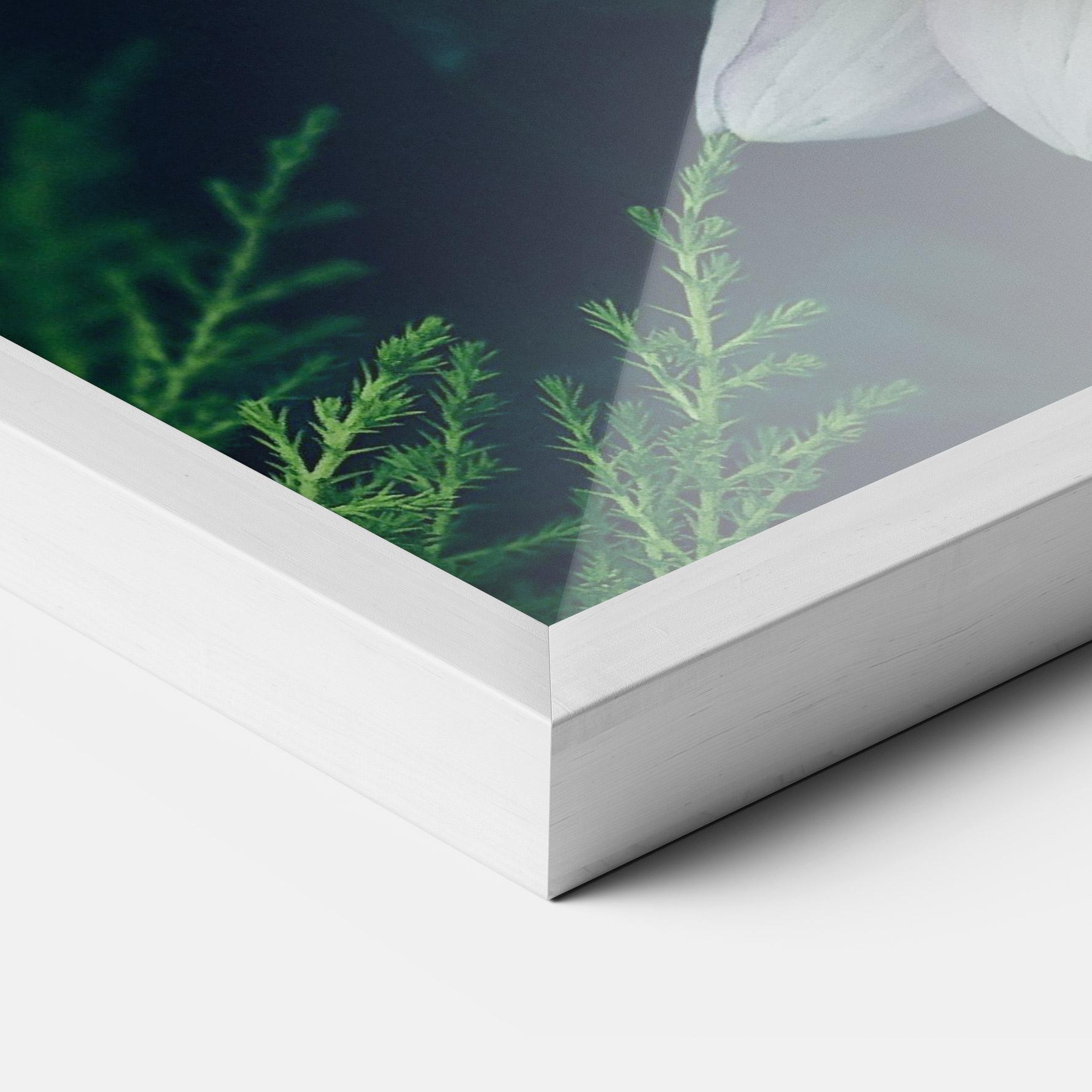 Gerahmte Poster Dahlia Flowers mockup 3