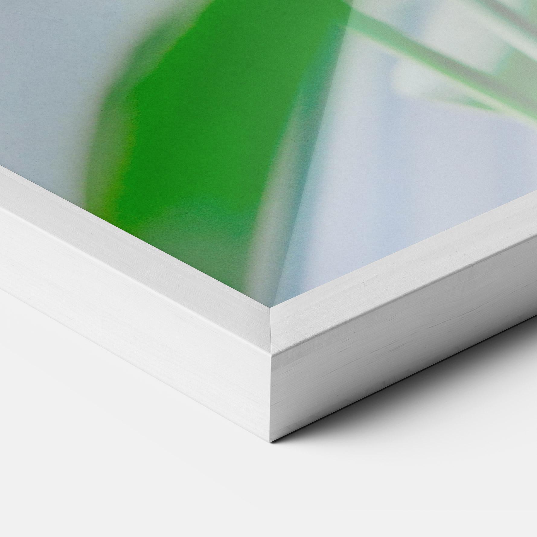 Gerahmte Poster Exotic Orange Green mockup 3