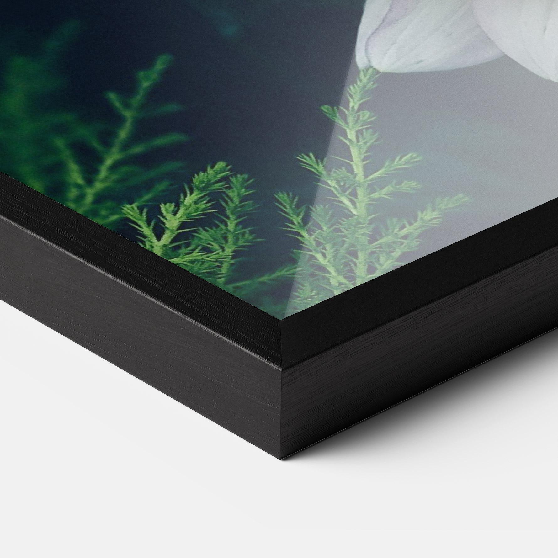 Gerahmte Poster Dahlia Flowers mockup 3