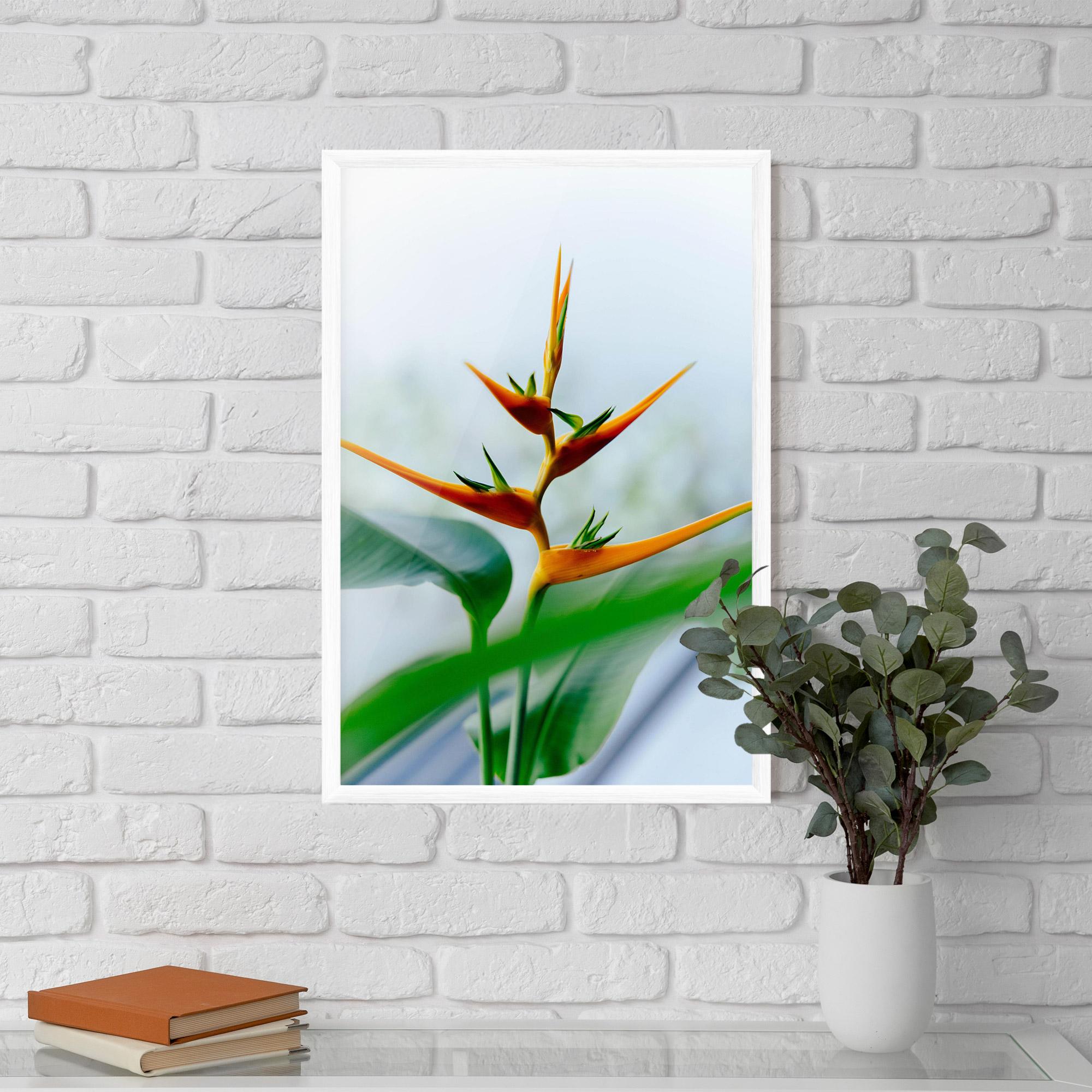 Gerahmte Poster Exotic Orange Green mockup 5