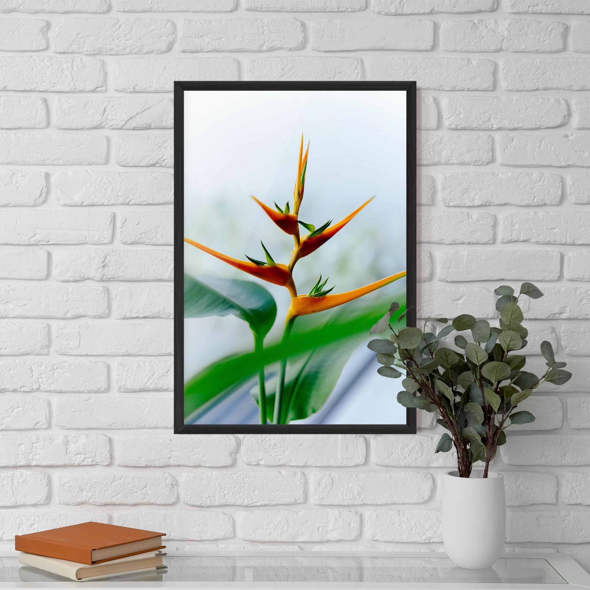 Gerahmte Poster Exotic Orange Green mockup 5