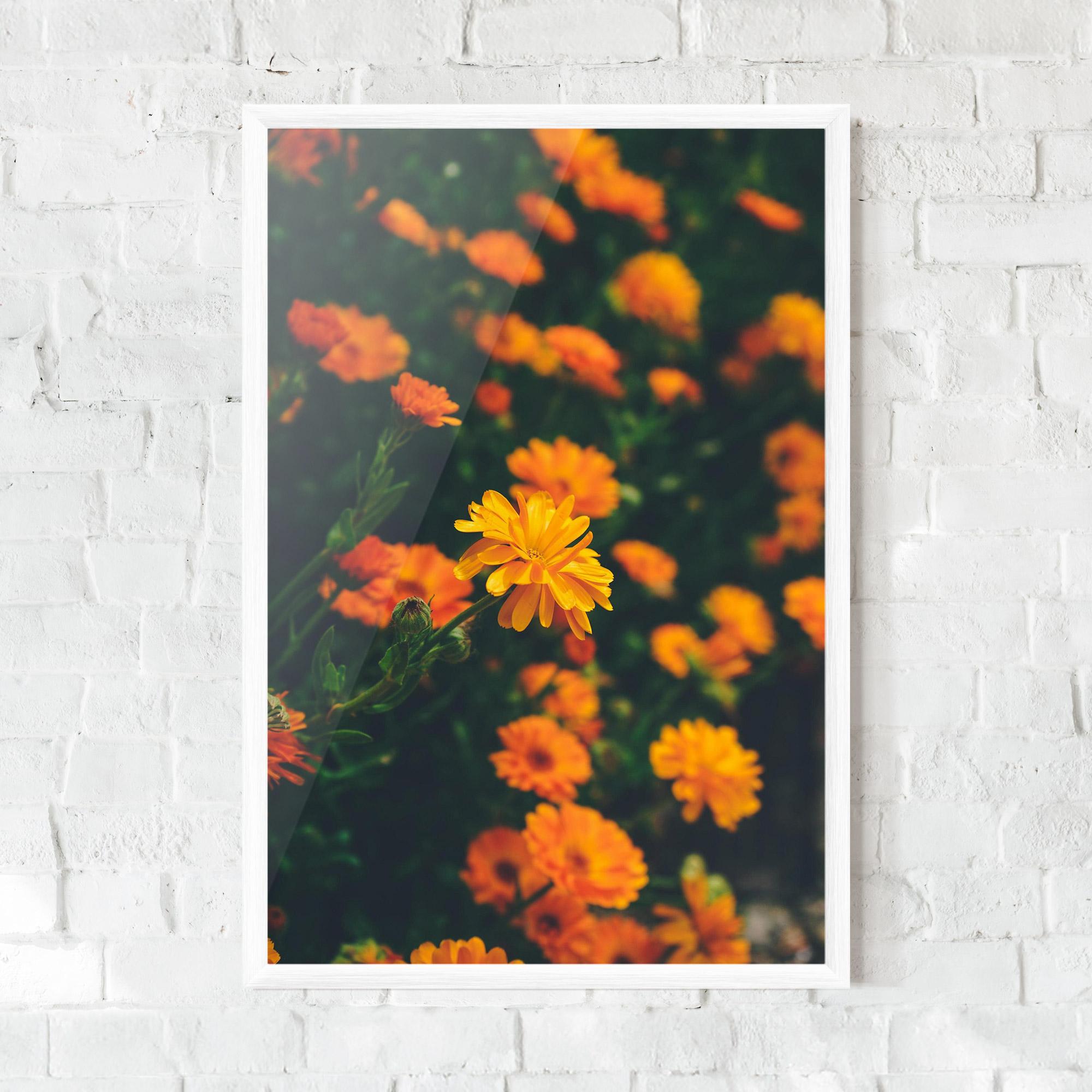 Gerahmte Poster Garden Orange Flowers mockup 0