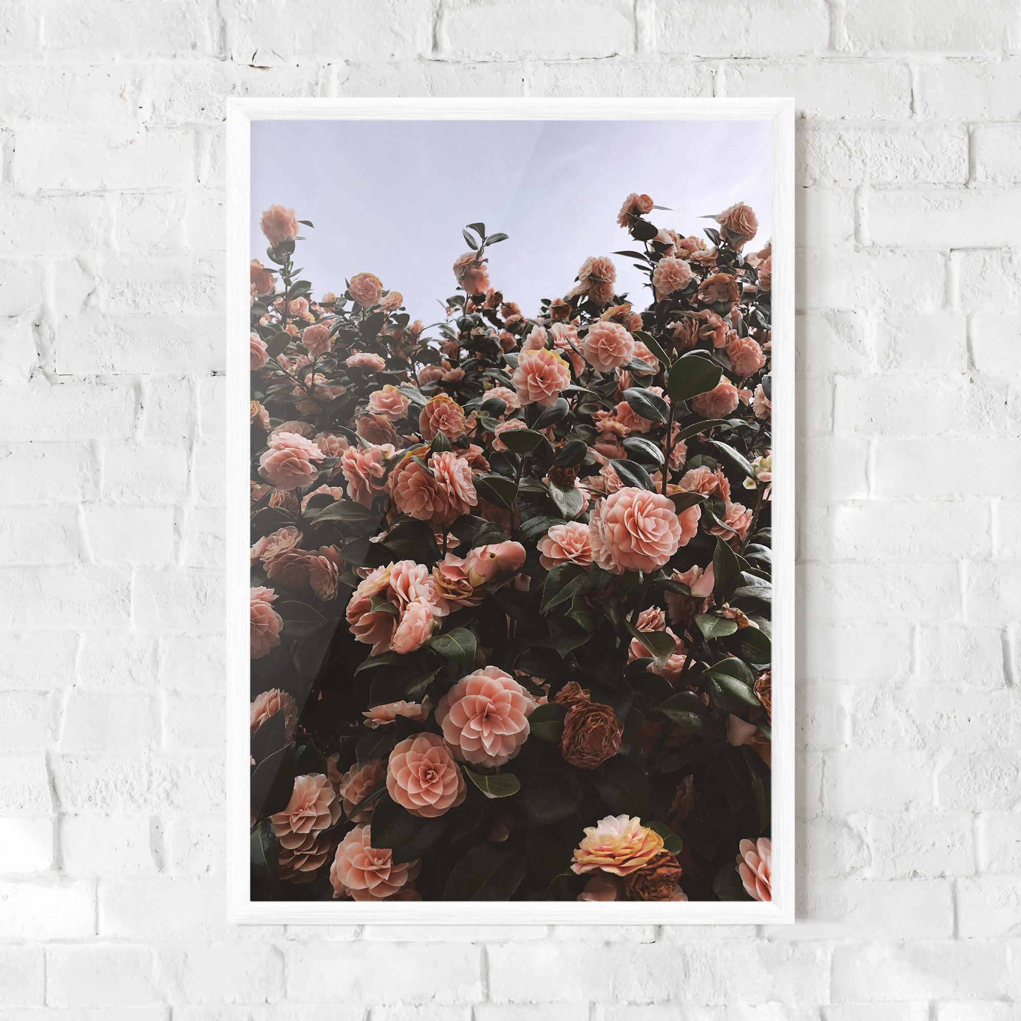 Gerahmte Poster Rose Wild Wall mockup 0