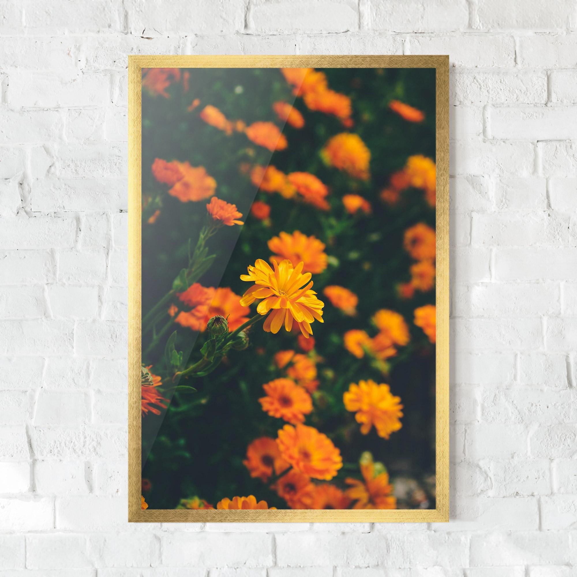 Gerahmte Poster Garden Orange Flowers mockup 0