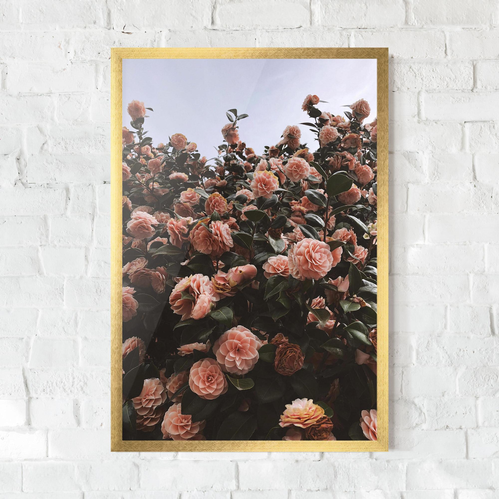 Gerahmte Poster Rose Wild Wall mockup 0