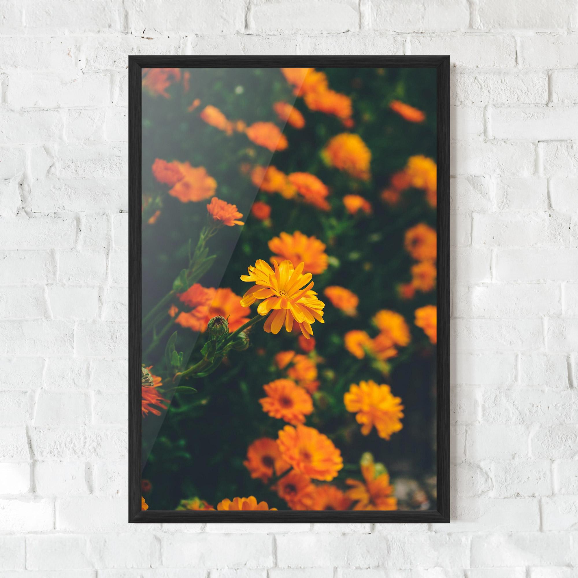 Gerahmte Poster Garden Orange Flowers mockup 0