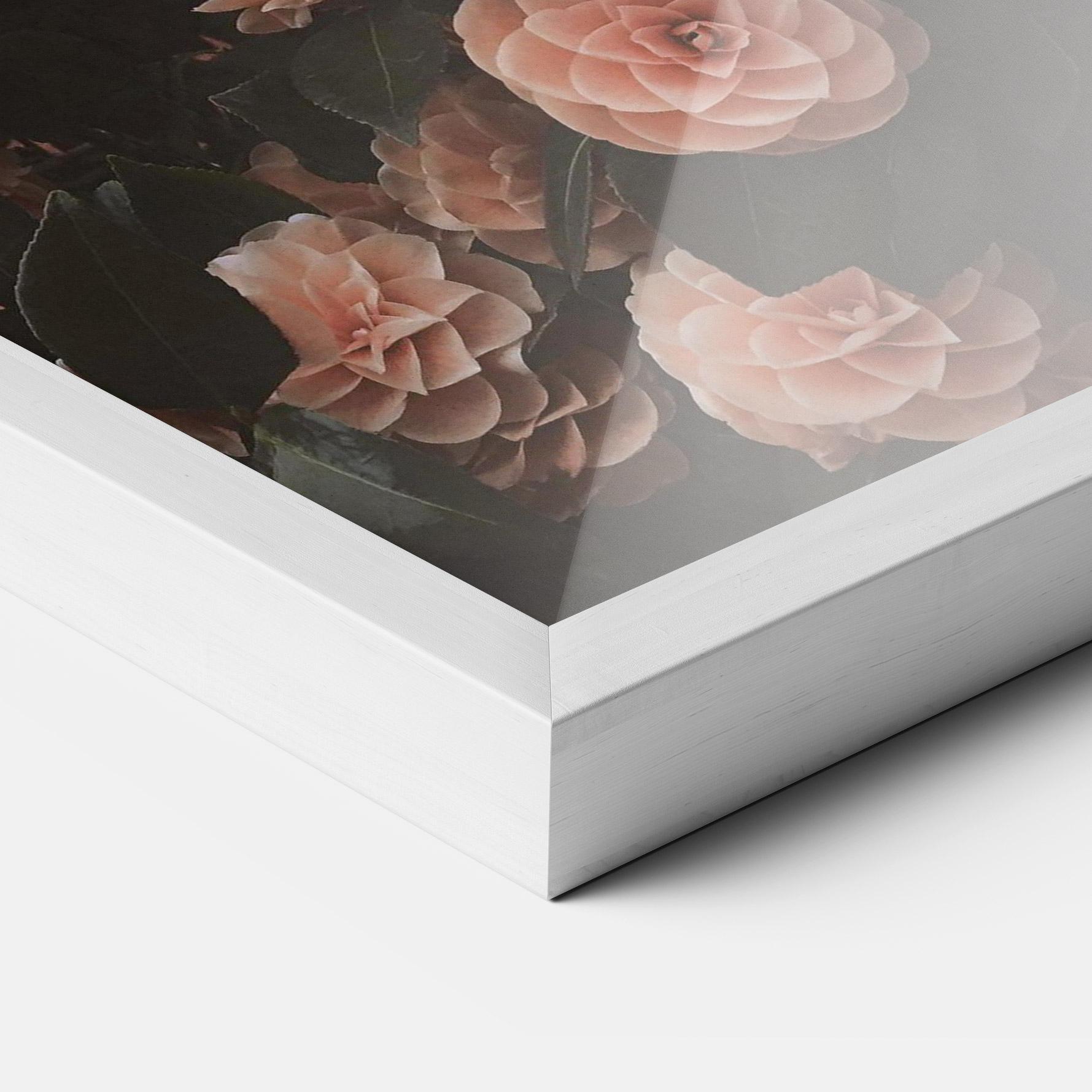 Gerahmte Poster Rose Wild Wall mockup 3