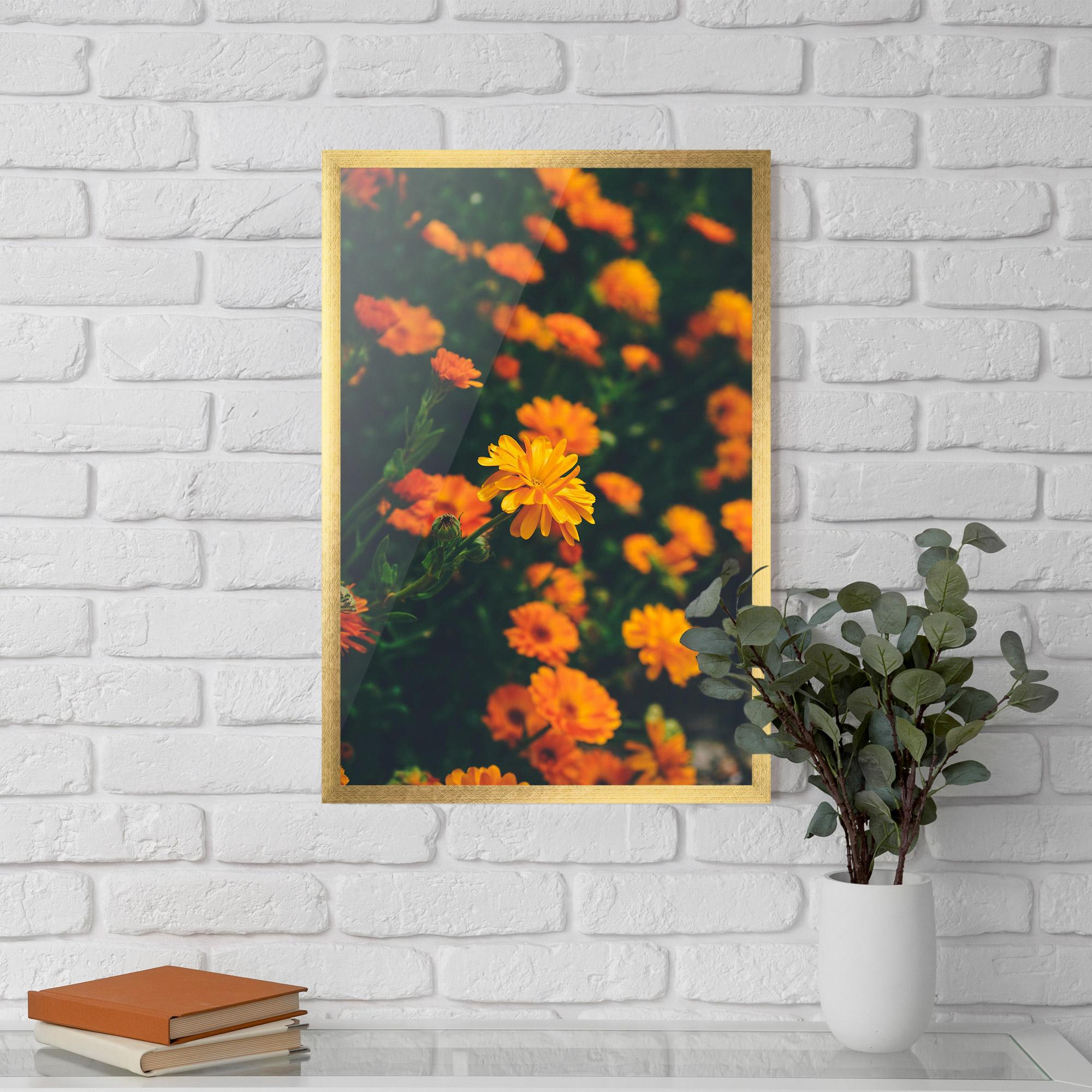 Gerahmte Poster Garden Orange Flowers mockup 5
