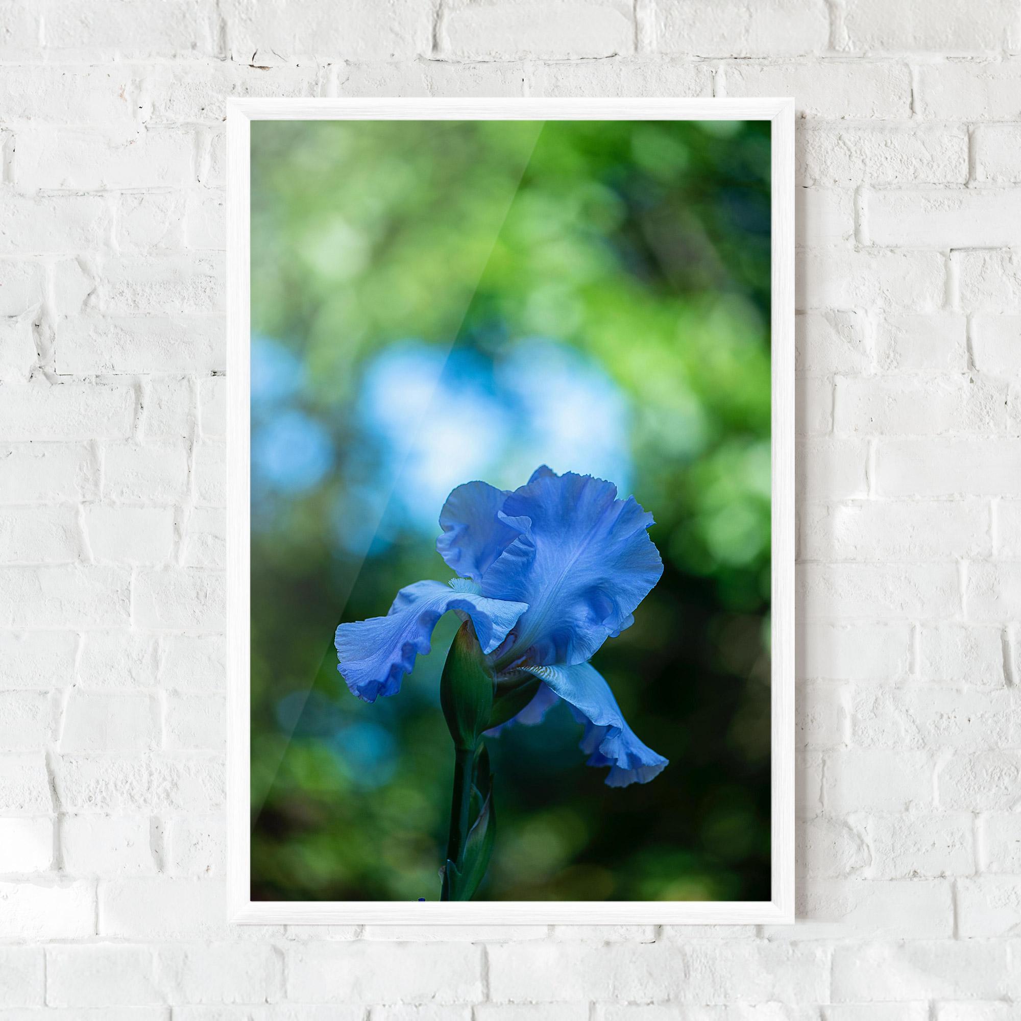 Gerahmte Poster Blue Iris In The Garden mockup 0