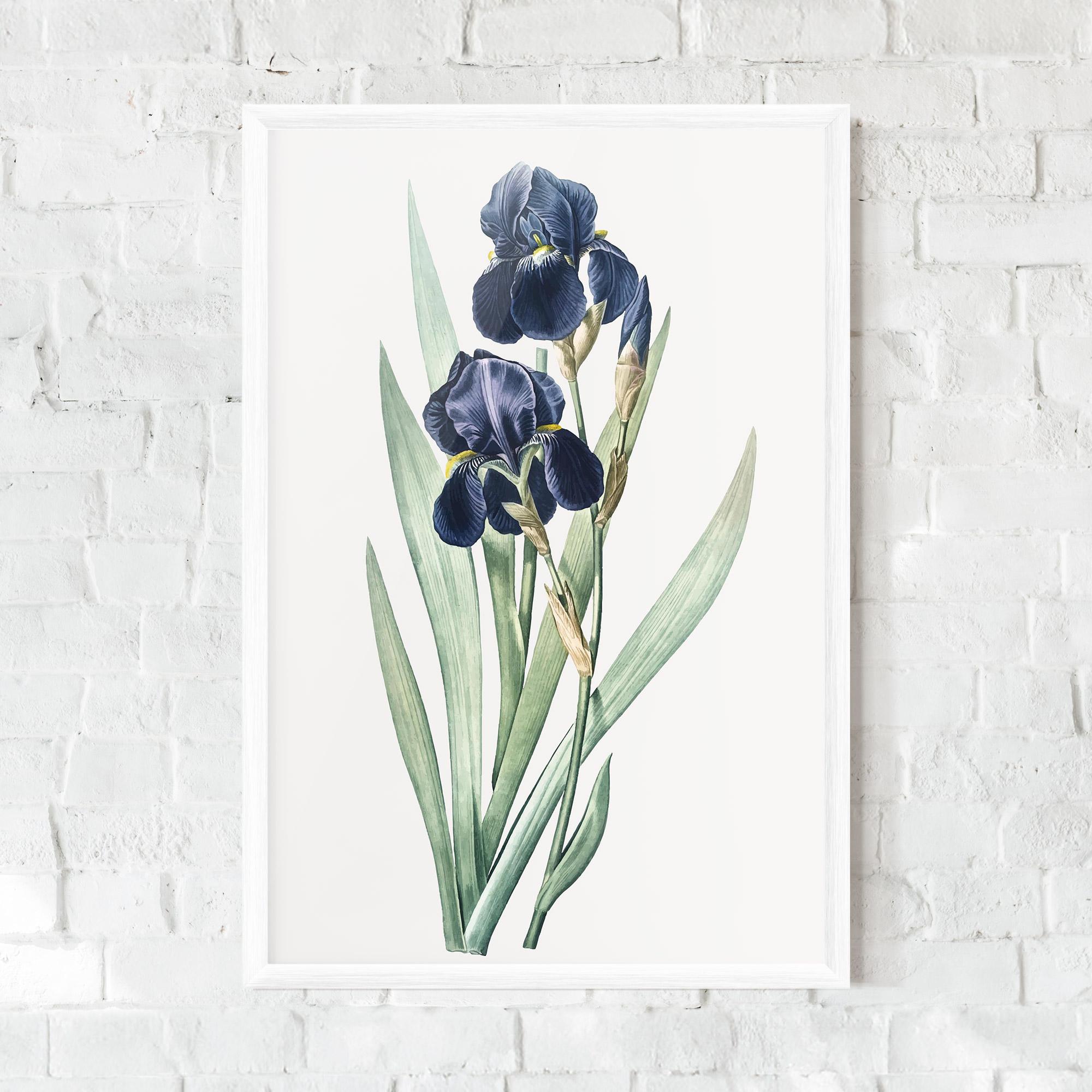 Gerahmte Poster Dark Blue Iris mockup 0