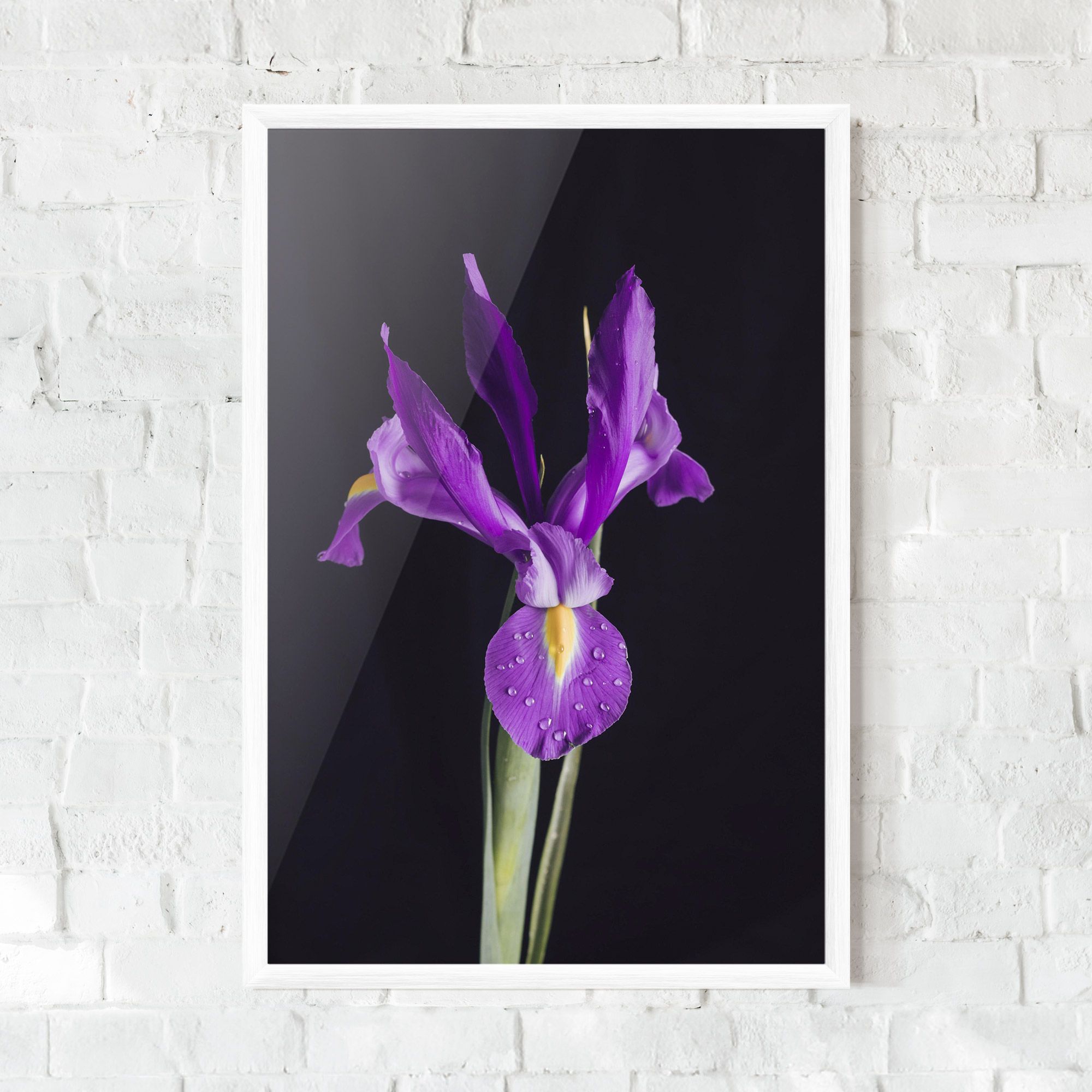 Fresh Purple Iris mockup 0