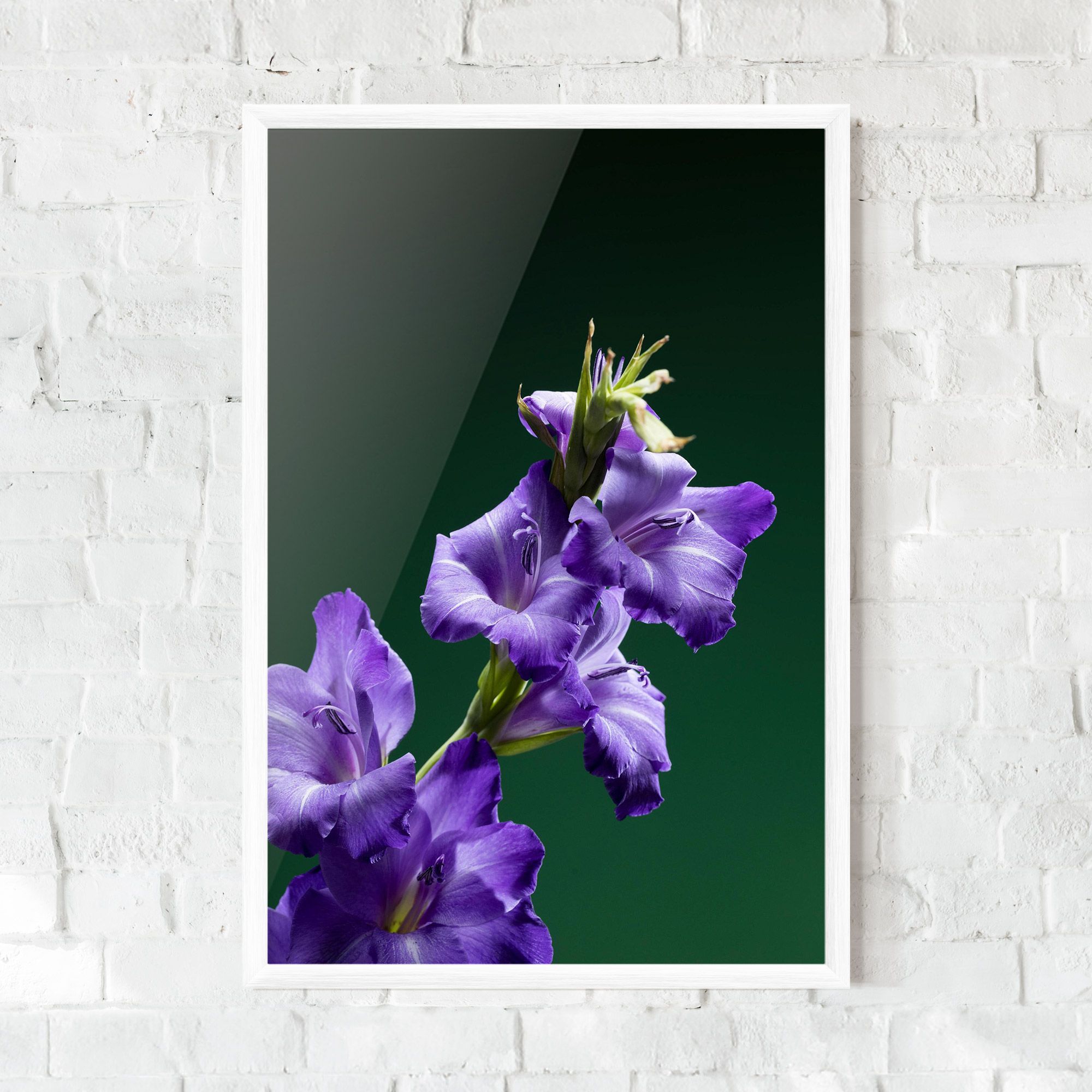 Iris On Green mockup 0