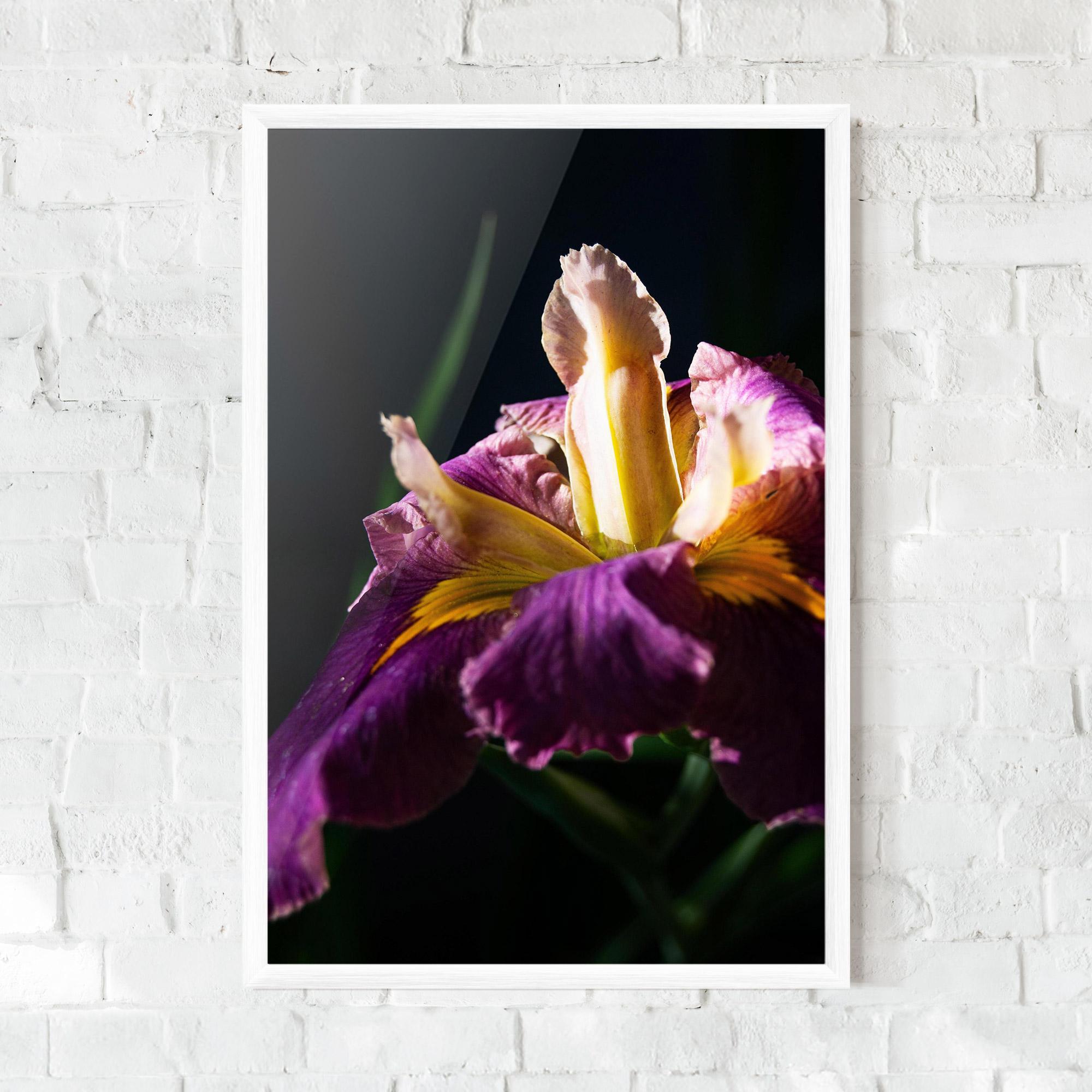 Gerahmte Poster Pastel Yellow Iris mockup 0