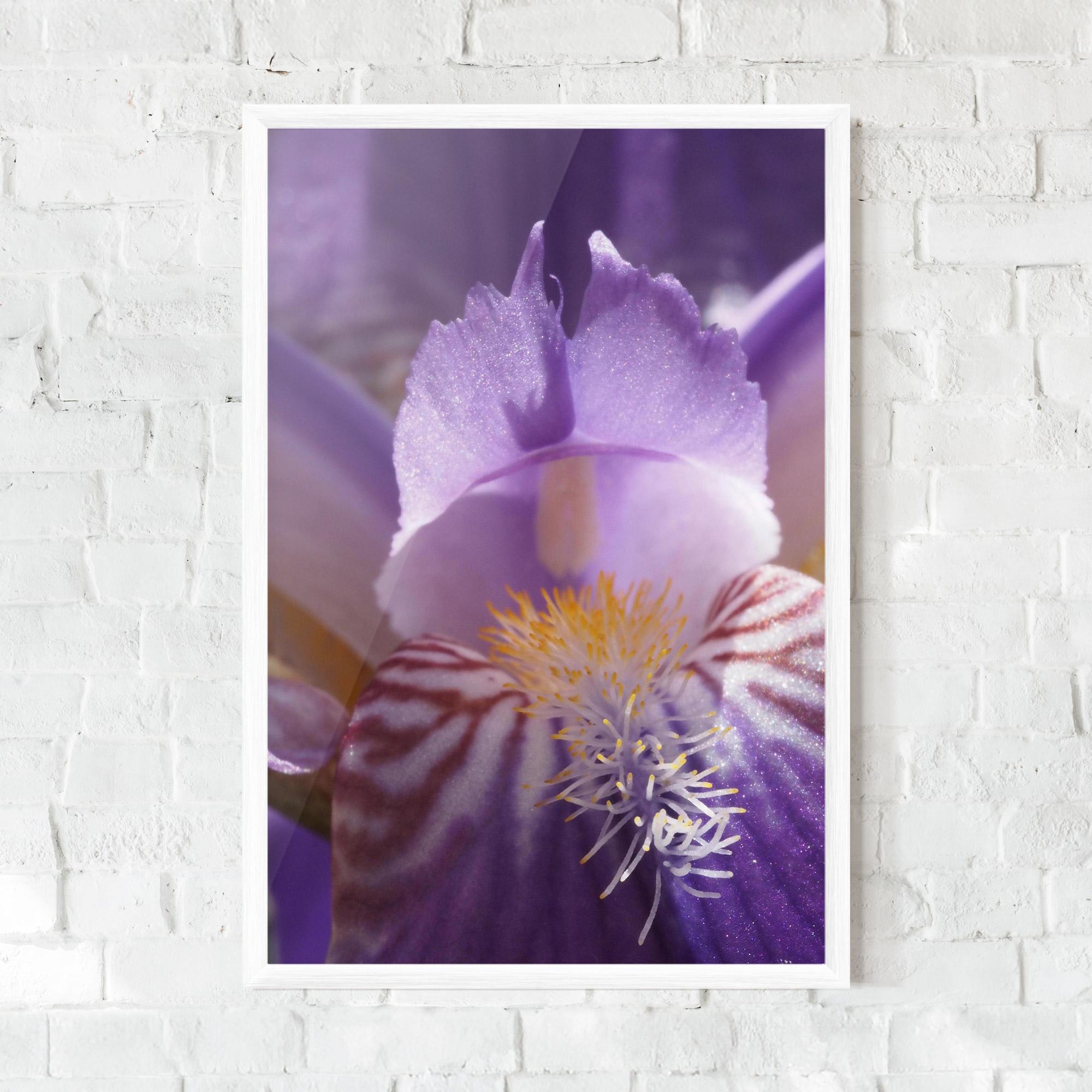 Gerahmte Poster Purple Iris Close Up mockup 0