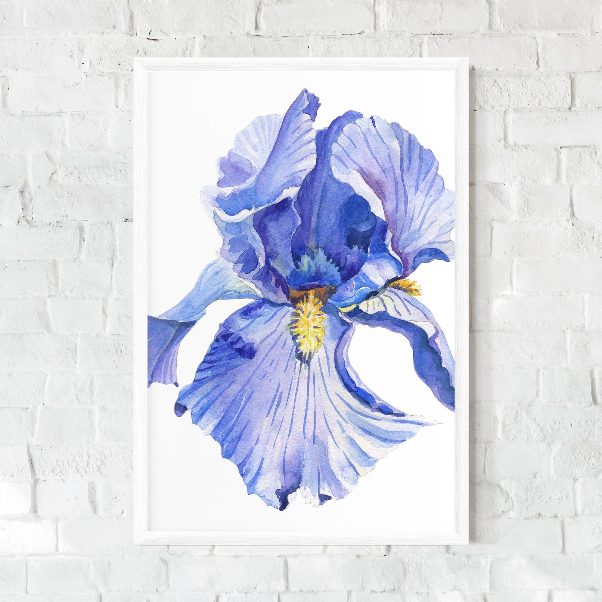 Gerahmte Poster Purple Iris On White mockup 0