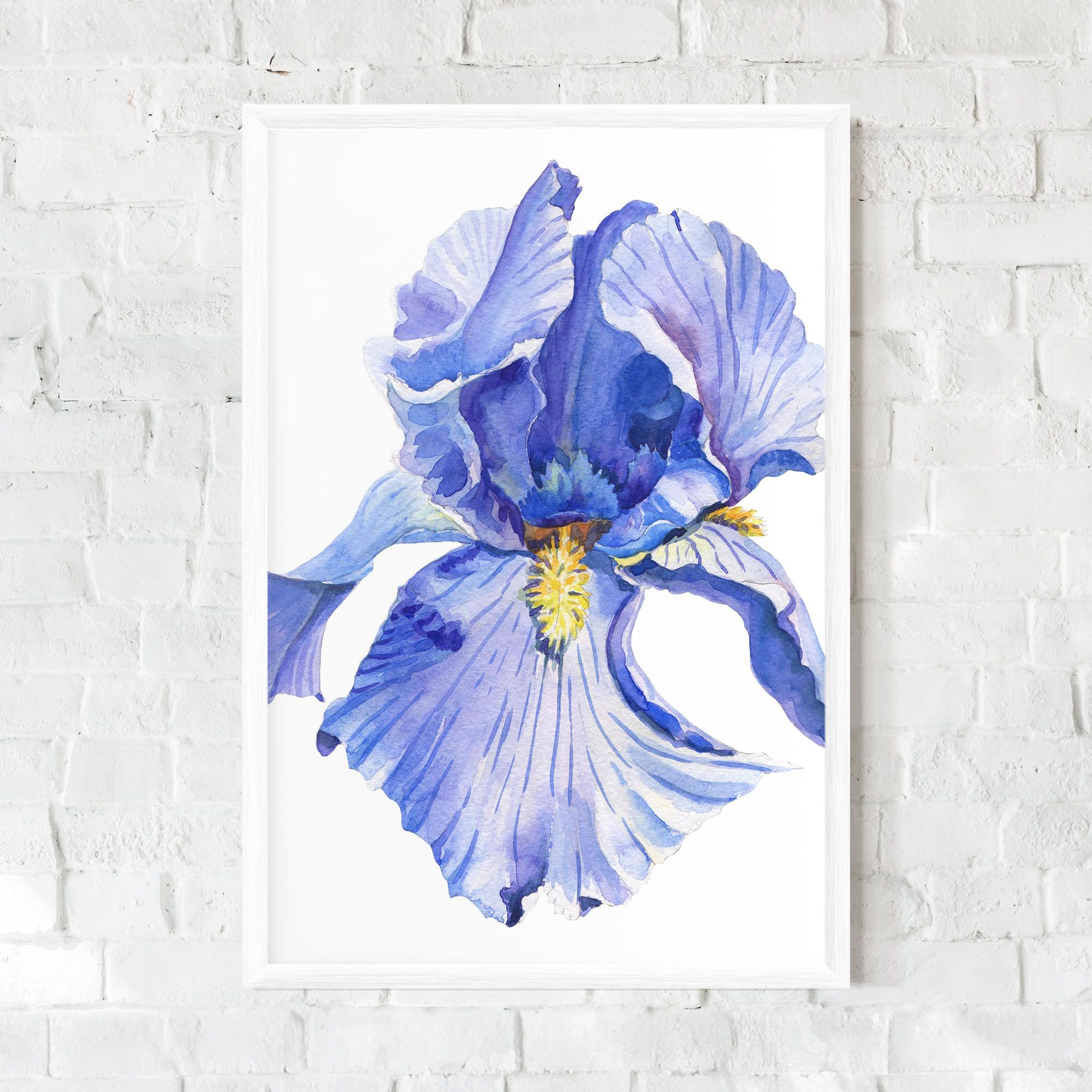 Purple Iris On White mockup 0