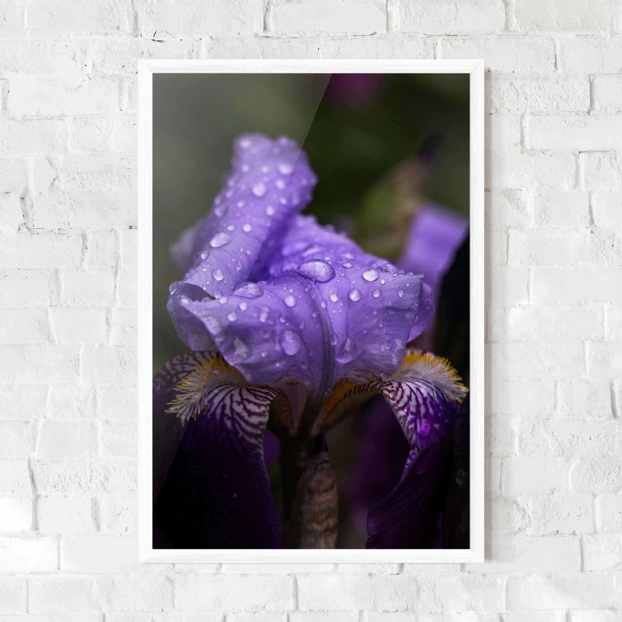 Gerahmte Poster Rain In The Garden mockup 0