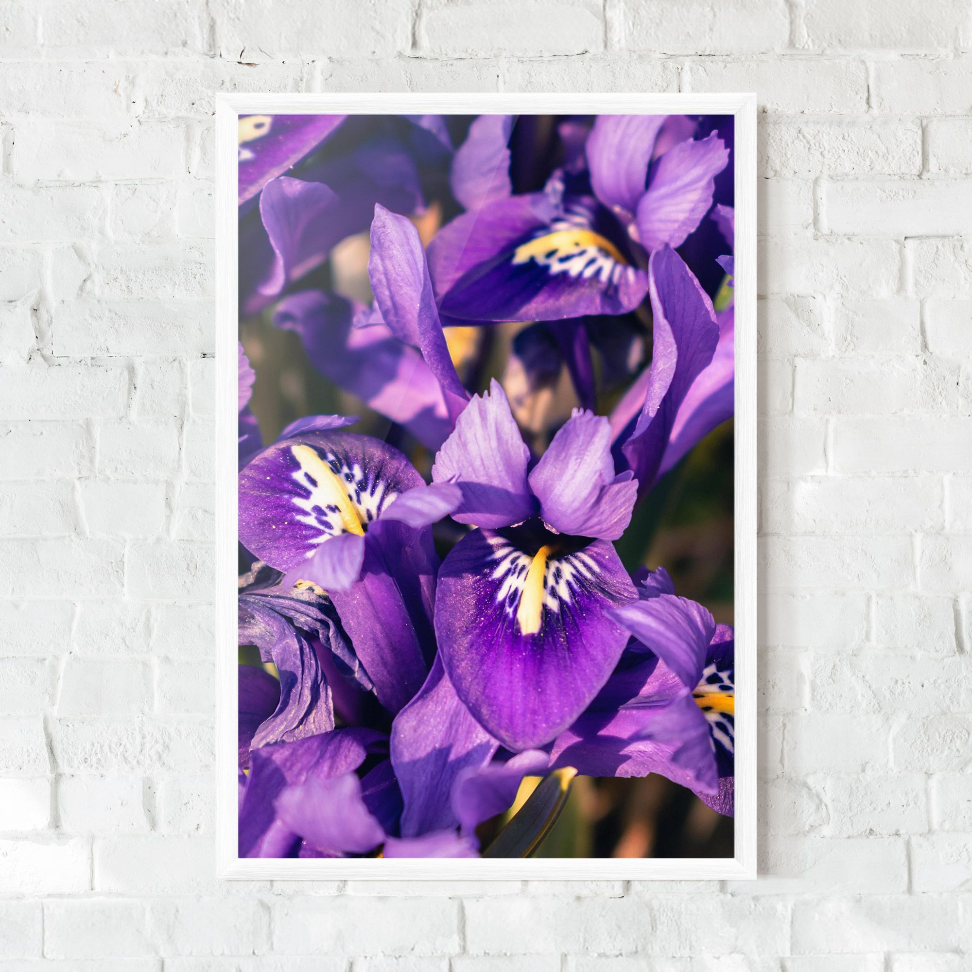 Small Purple Iris mockup 0