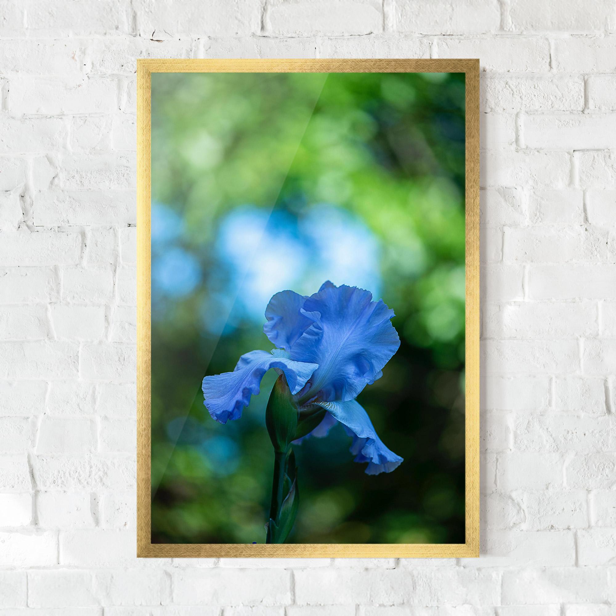 Gerahmte Poster Blue Iris In The Garden mockup 0