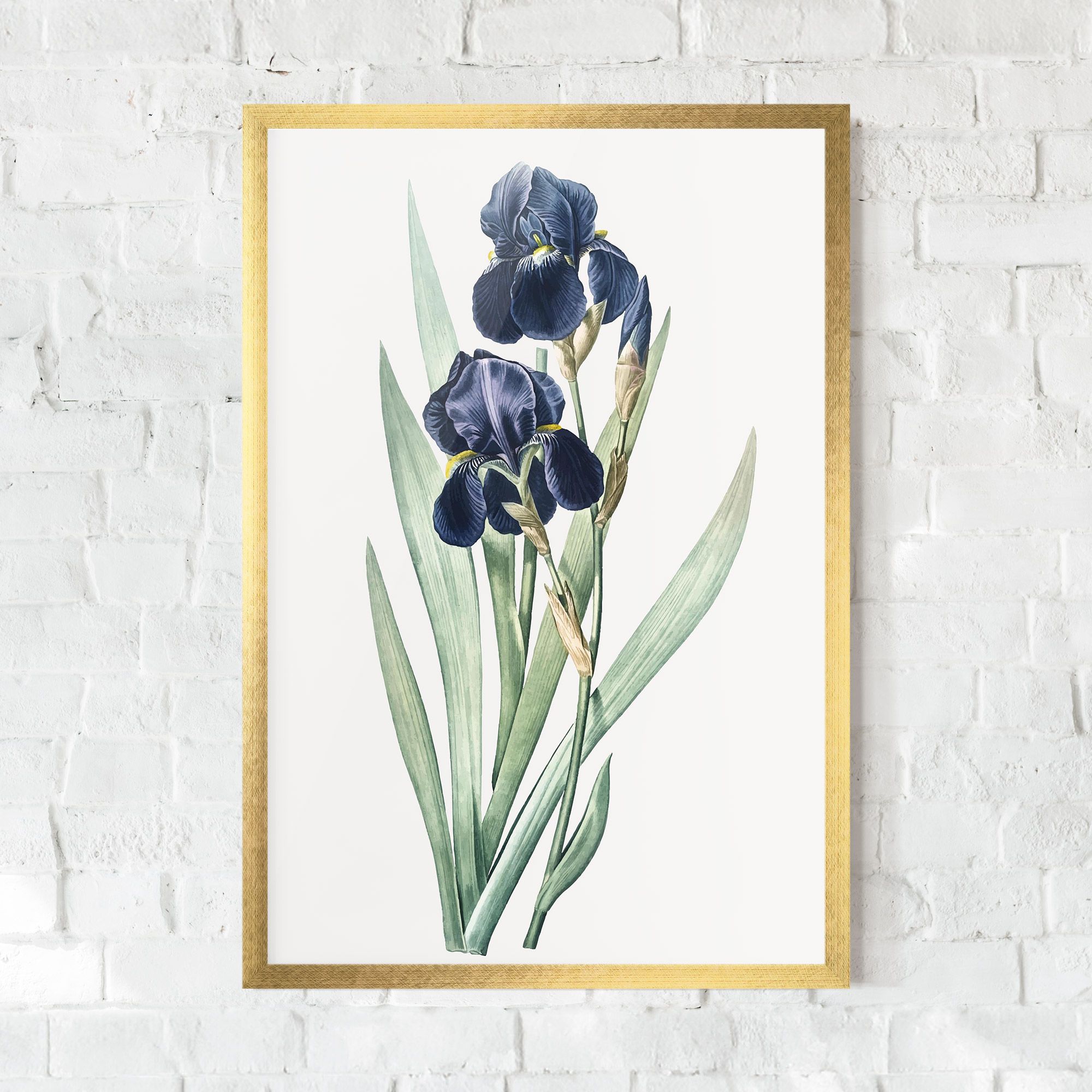 Dark Blue Iris mockup 0