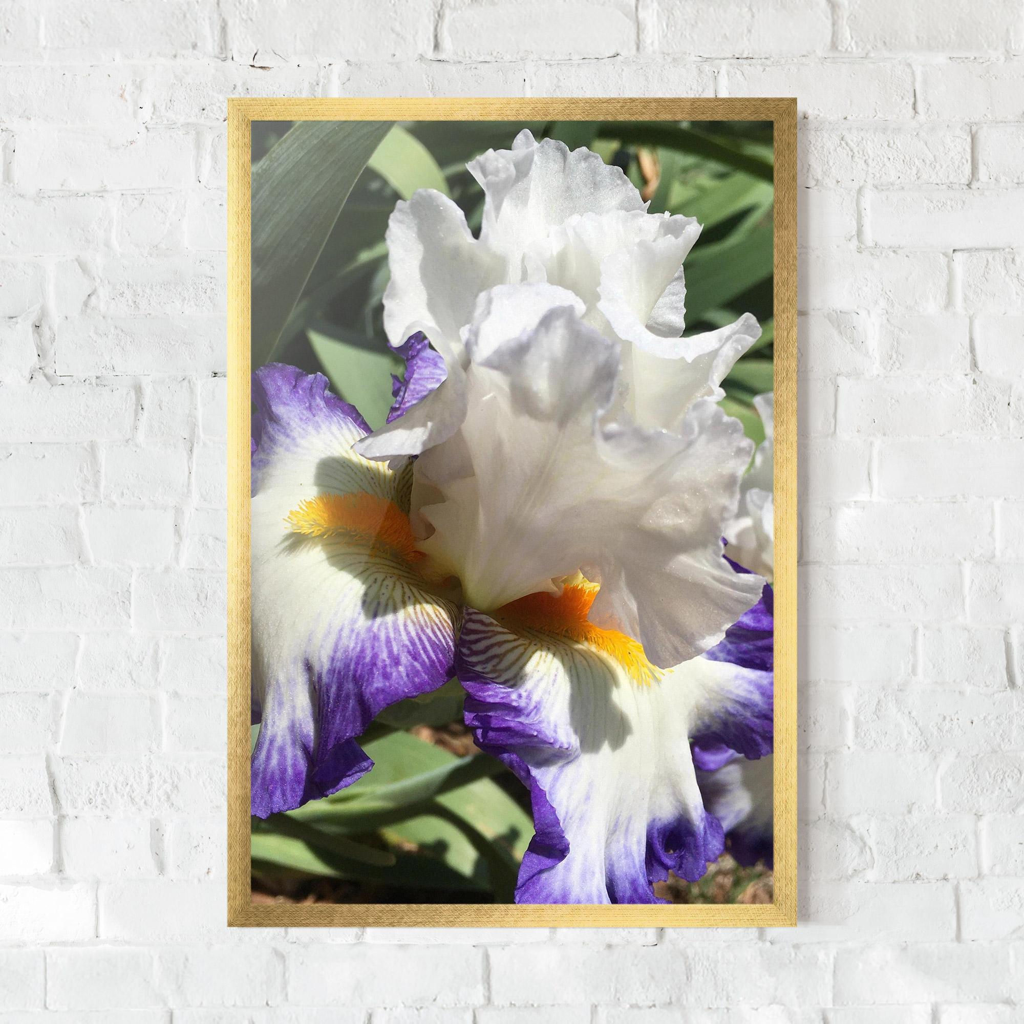 Gerahmte Poster Garden White Purple Irirs mockup 0