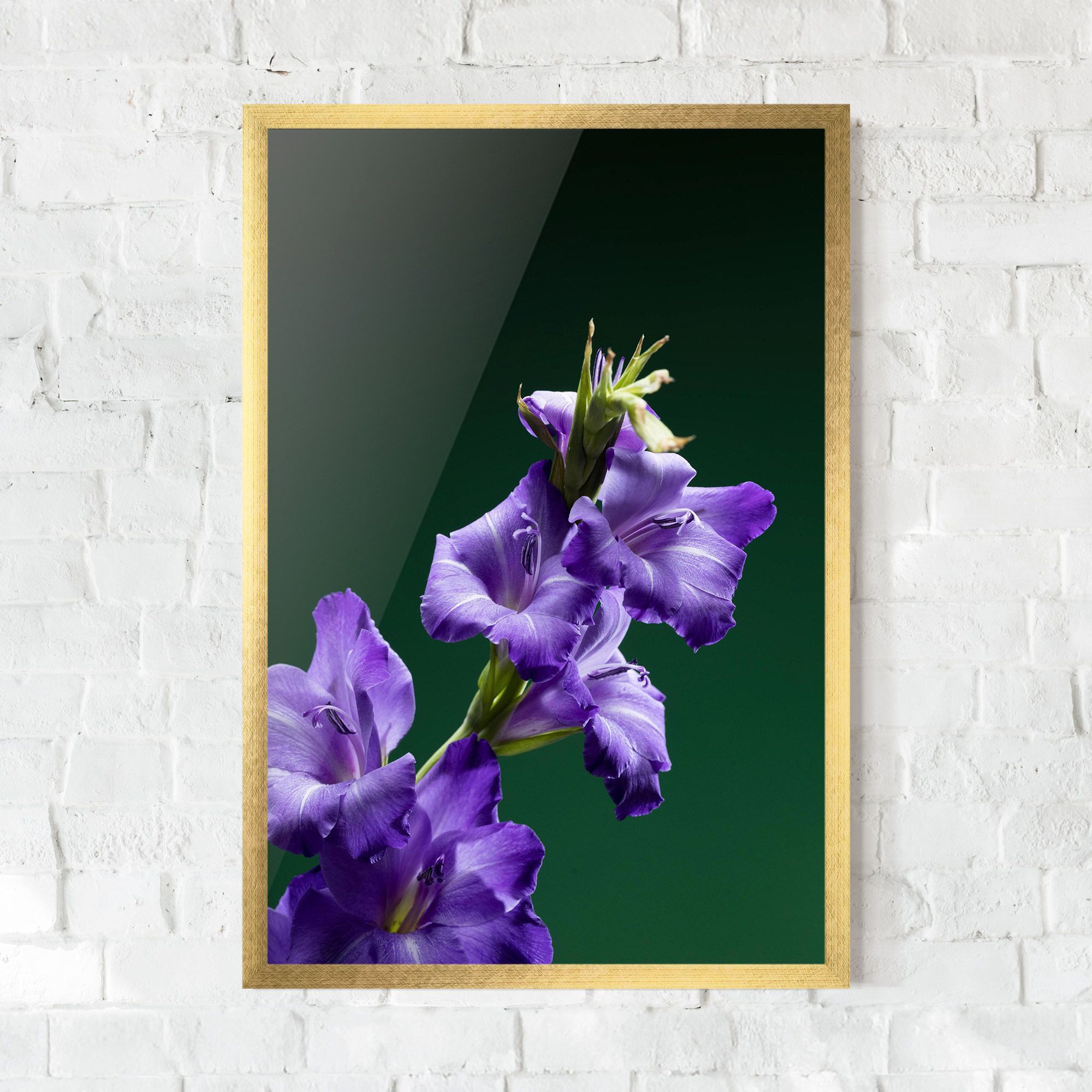 Iris On Green mockup 0