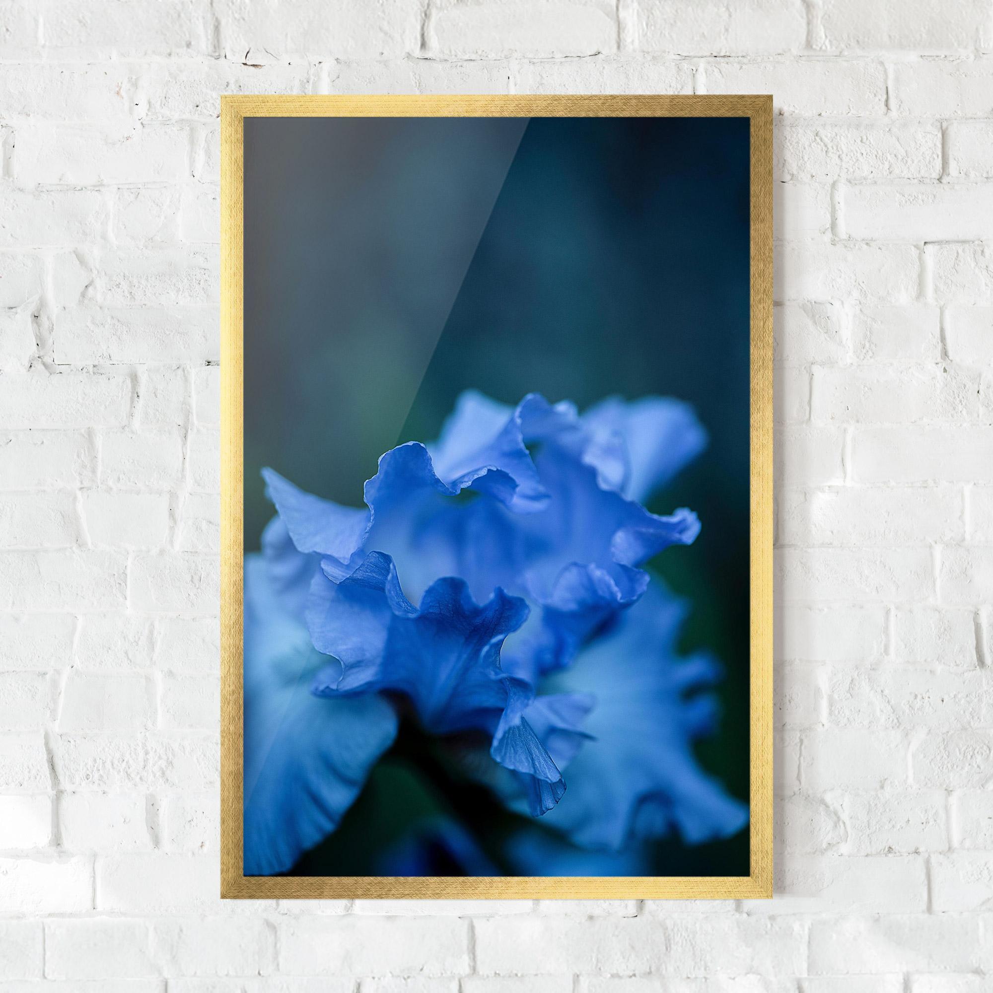 Gerahmte Poster Ocean Blue Iris mockup 0