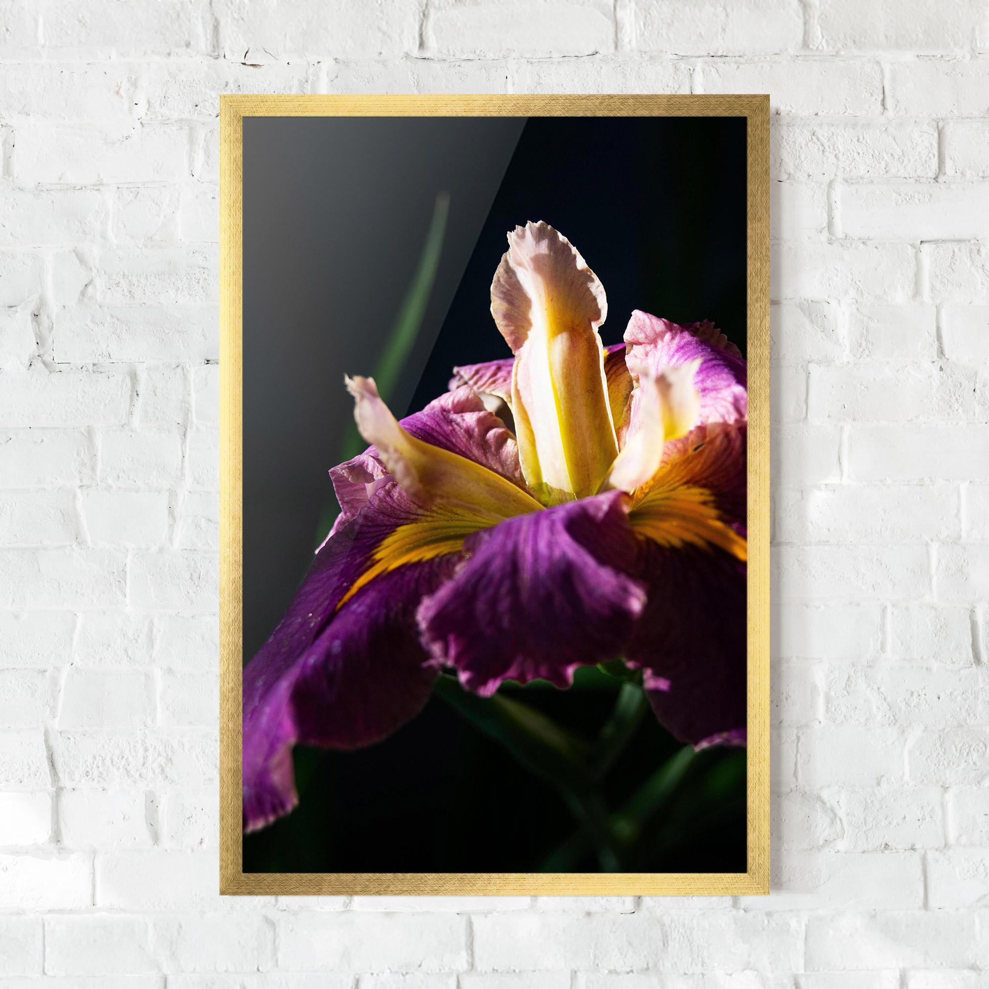 Gerahmte Poster Pastel Yellow Iris mockup 0