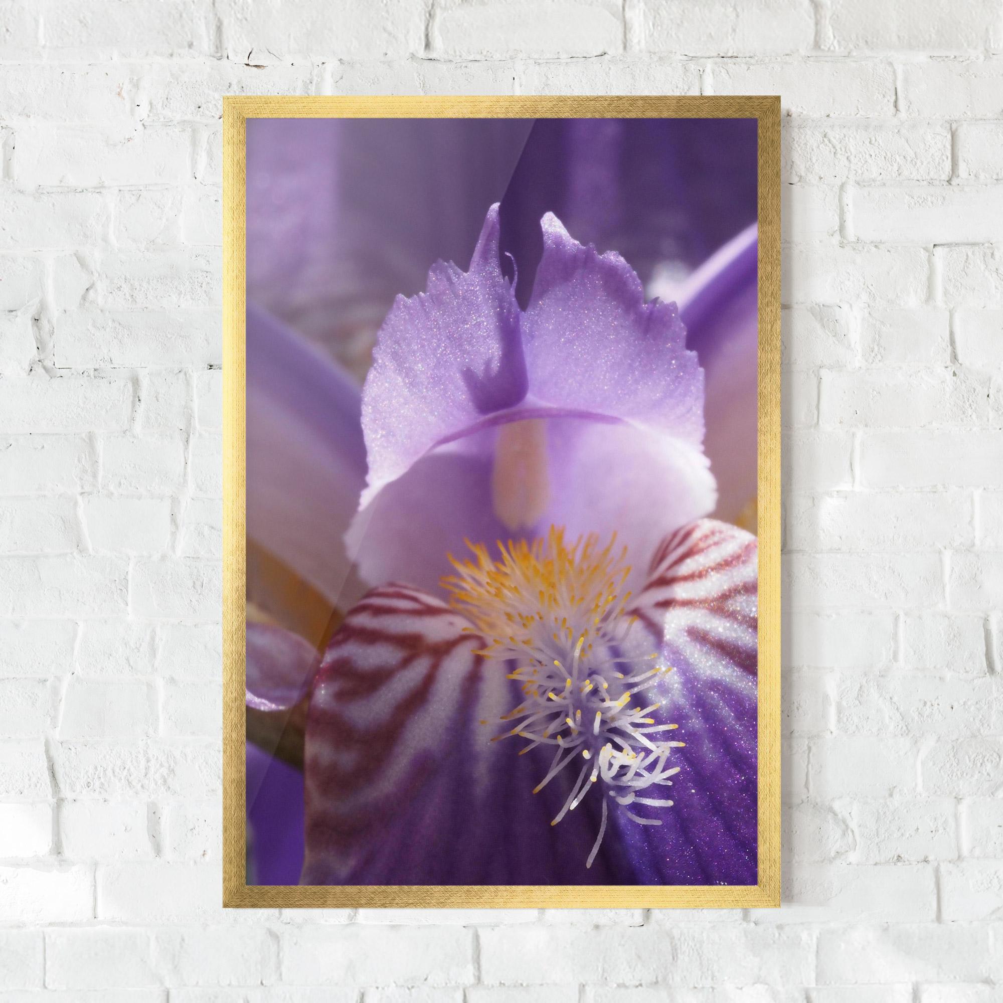 Gerahmte Poster Purple Iris Close Up mockup 0